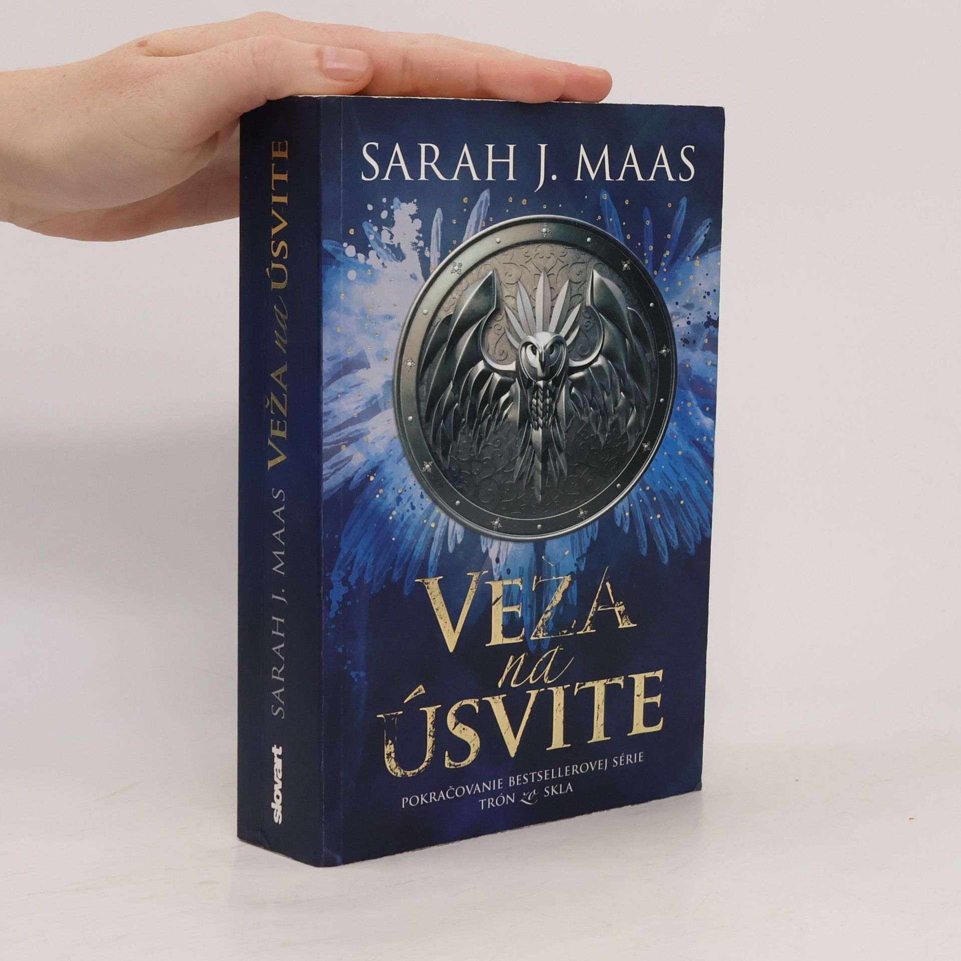 Sarah J. Maasová Veža na úsvite
