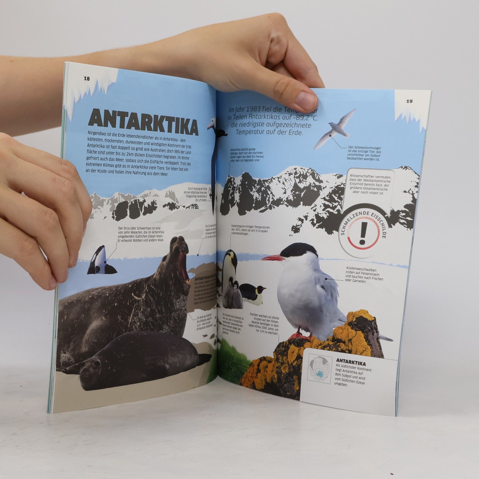 Autorenkollektiv Eis