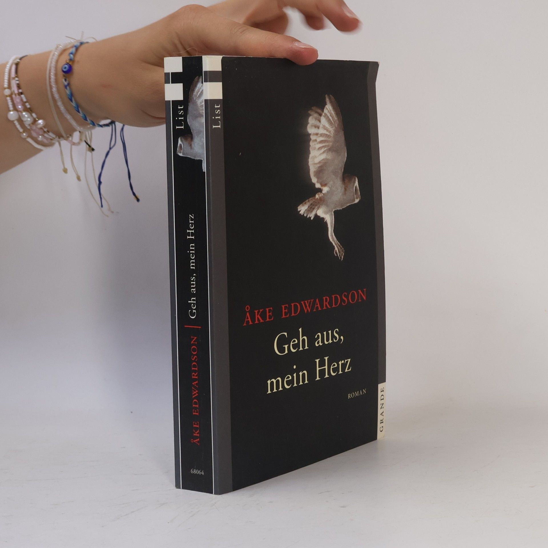 Åke Edwardson Geh aus, mein Herz