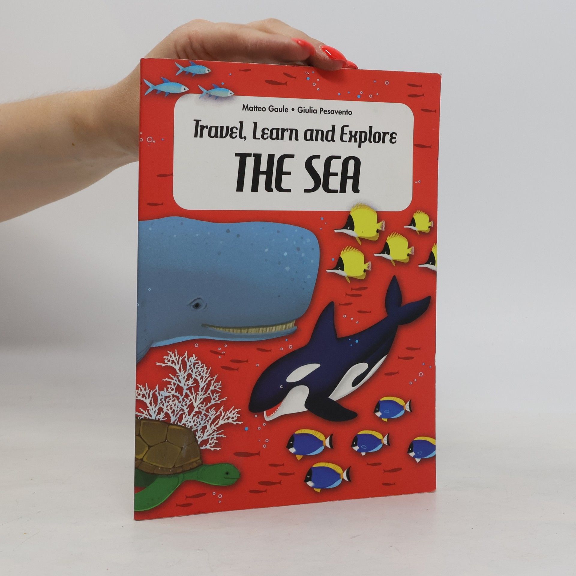 Matteo Gaule Travel, Learn and Explore. The Sea