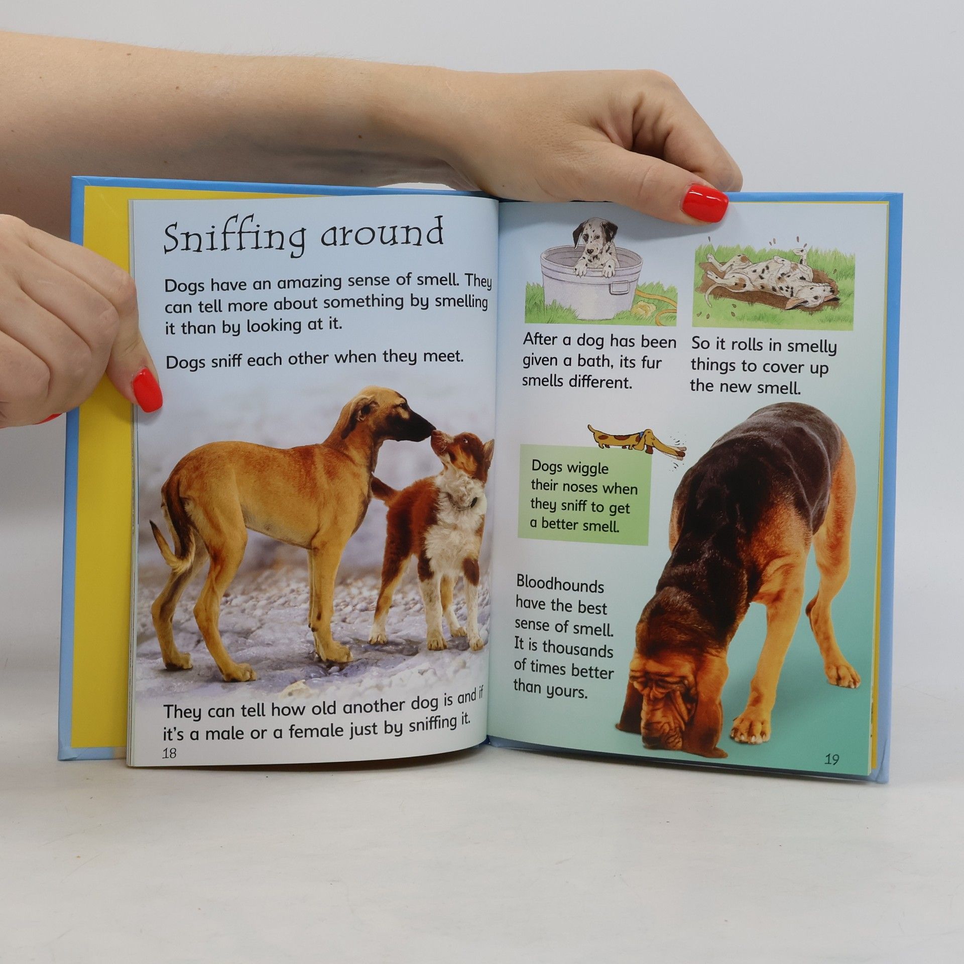 Emma Helbrough Dogs