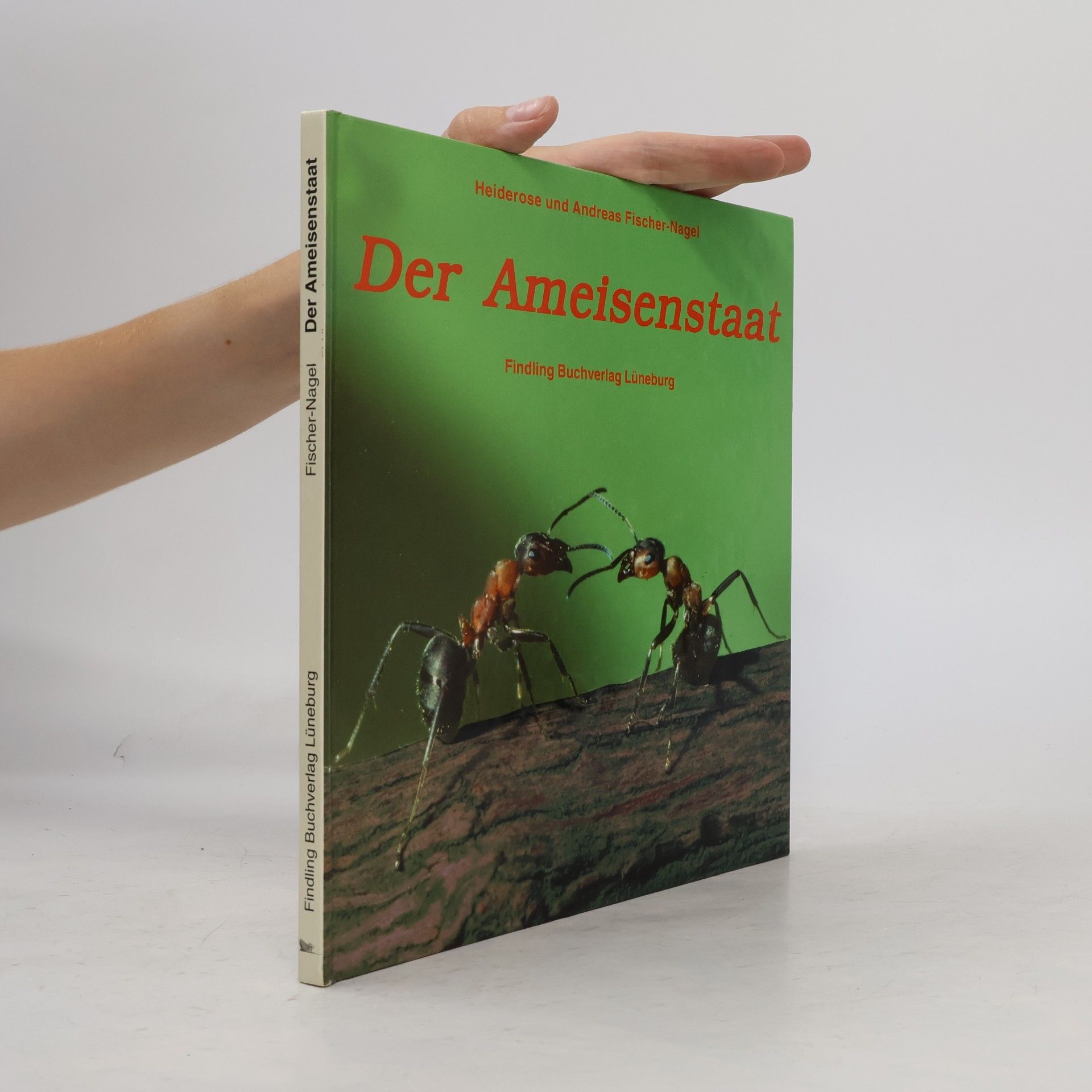 Heiderose Fischer-Nagel Der Ameisenstaat