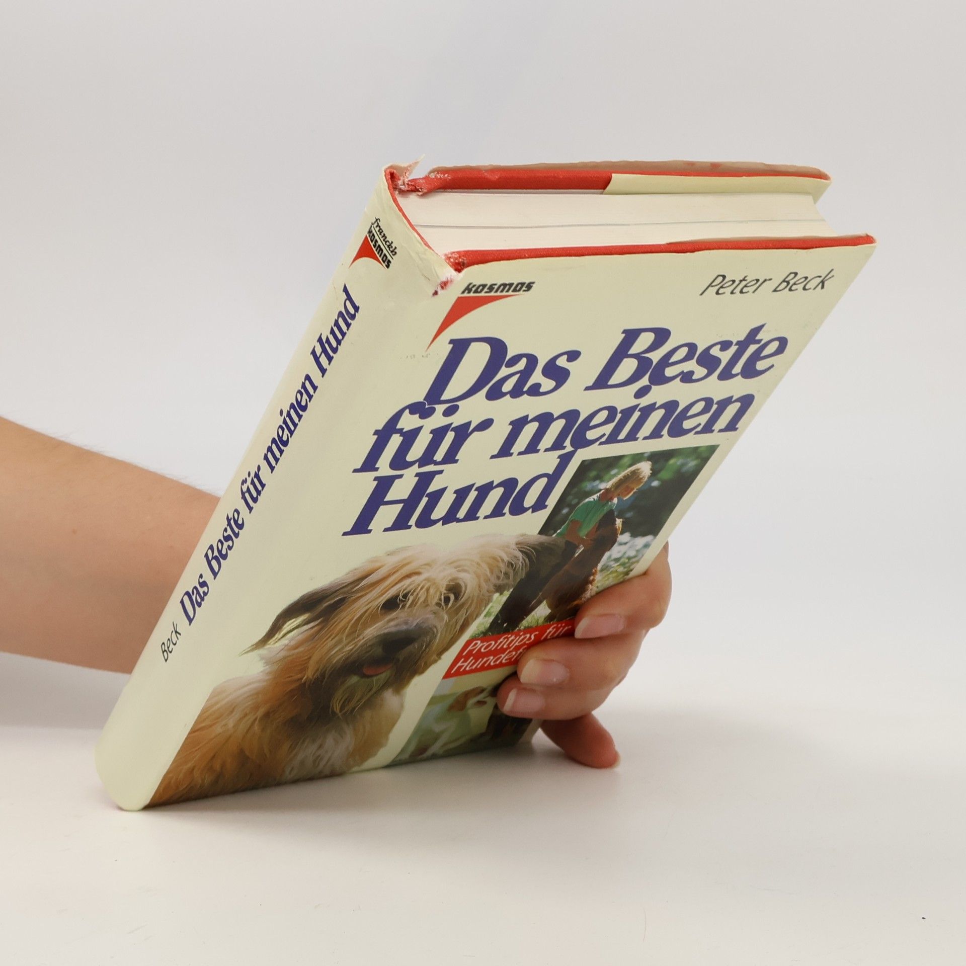 Hans-Peter Beck-Bornholdt Das Beste für meinen Hund