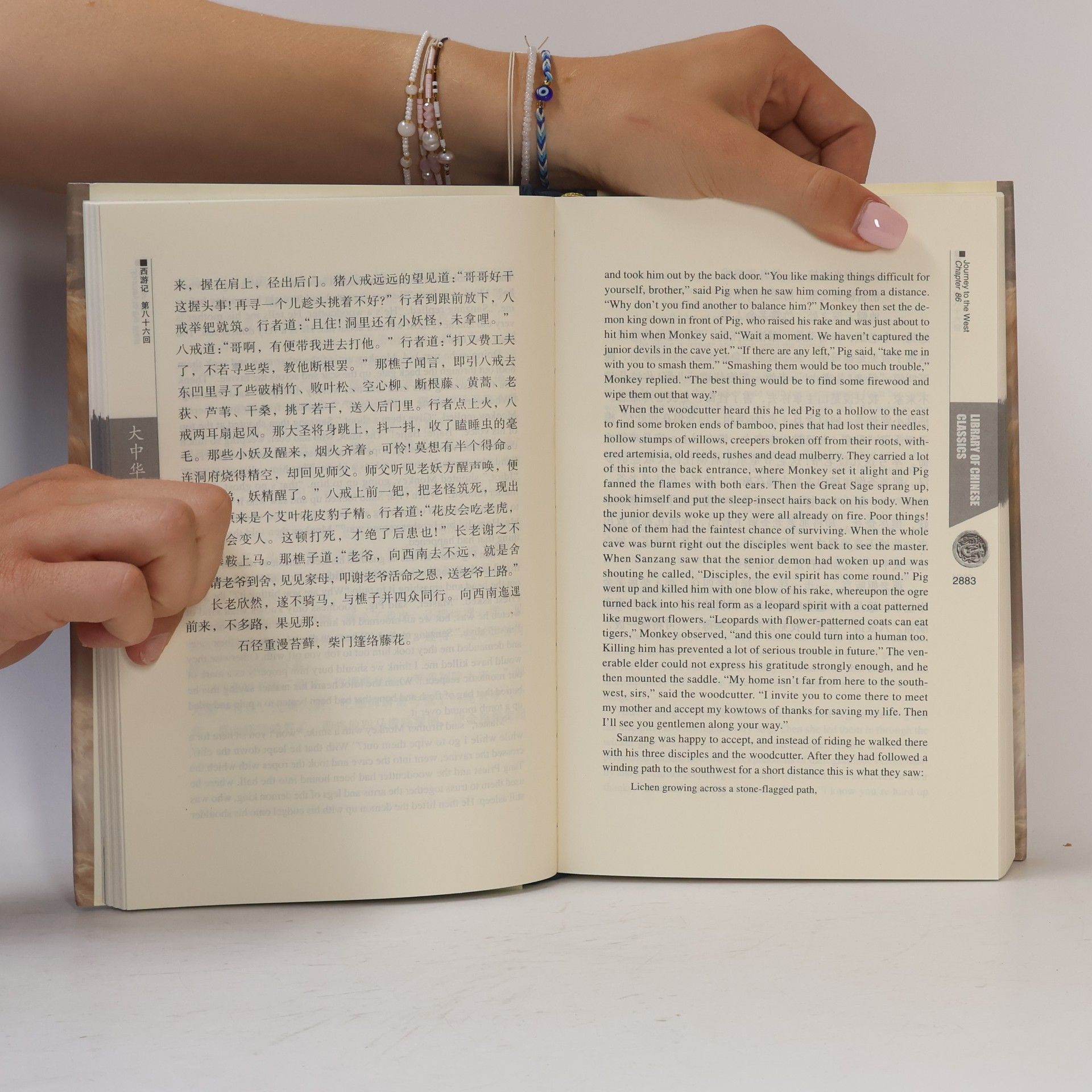 Various authors Journey to the West VI.