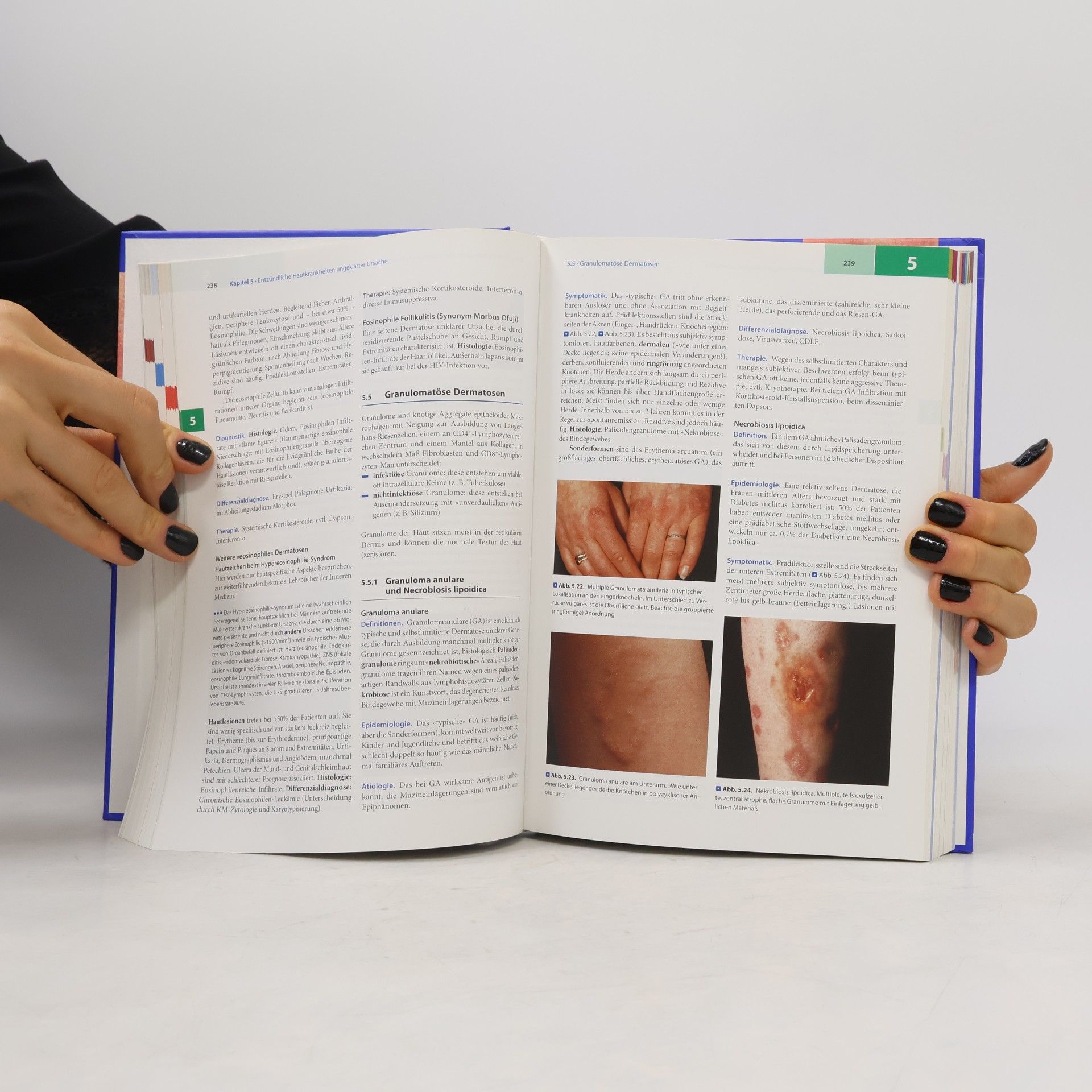 Peter Fritsch Dermatologie und Venerologie für das Studium