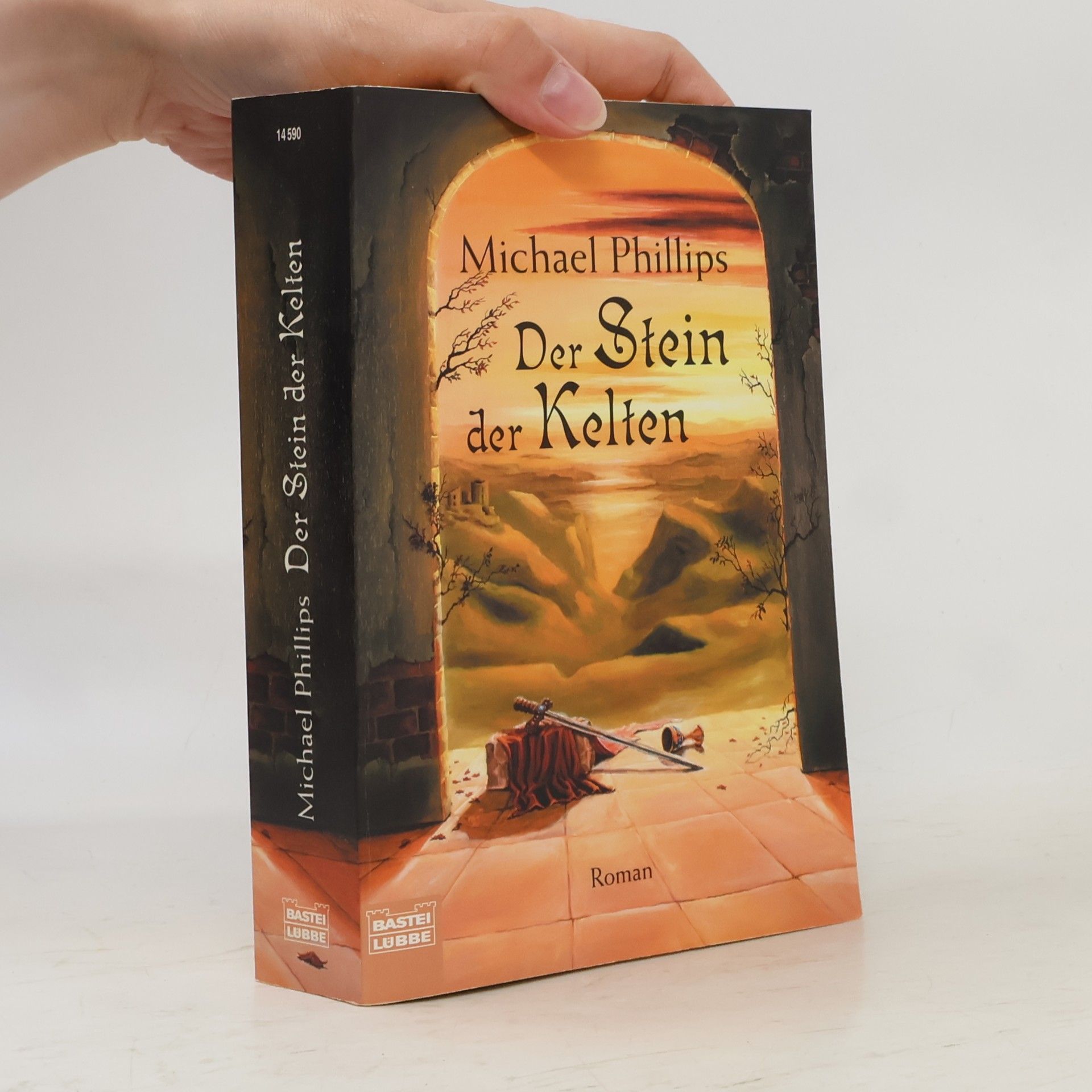 Michael R. Phillips Der Stein der Kelten