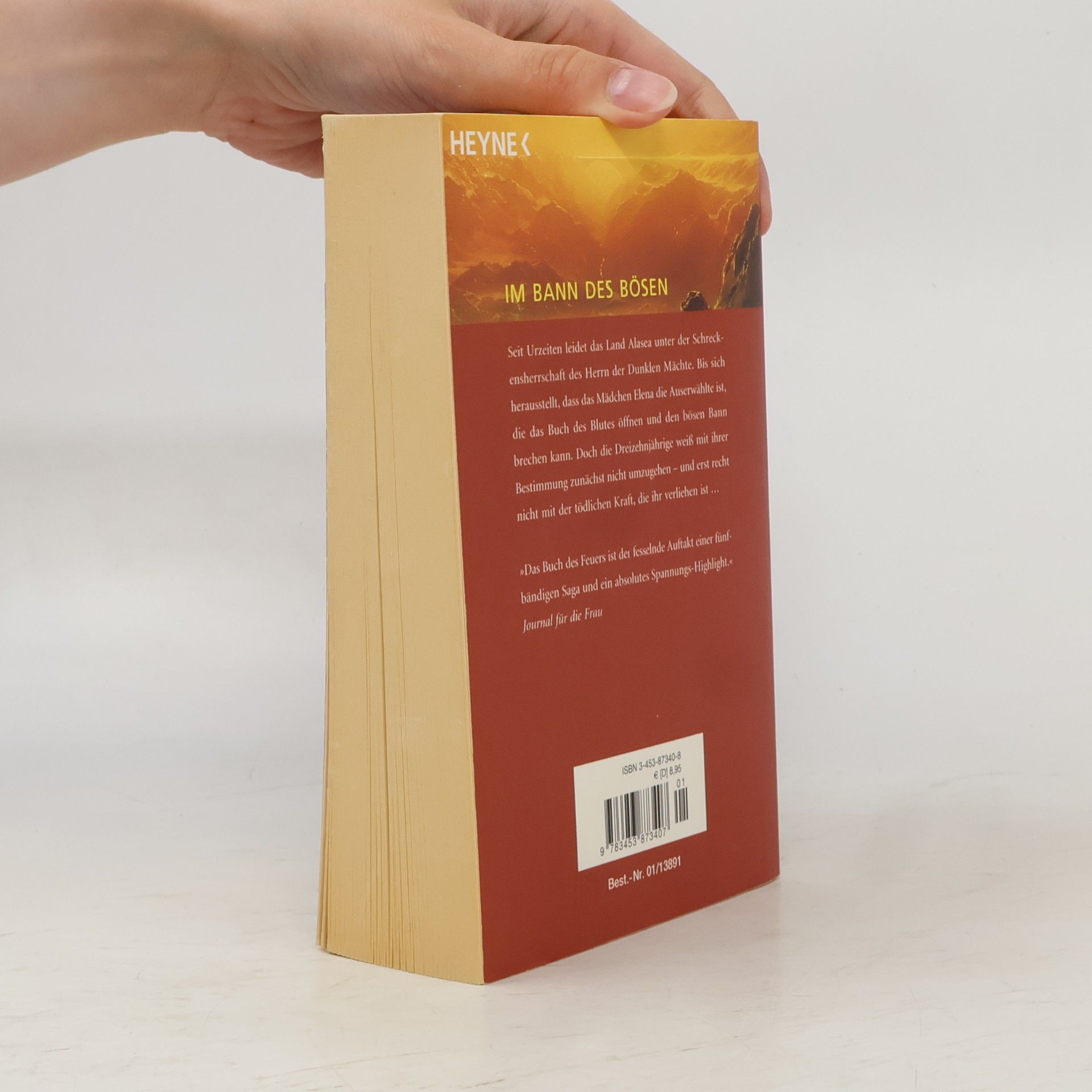 James Clemens Das Buch des Feuers