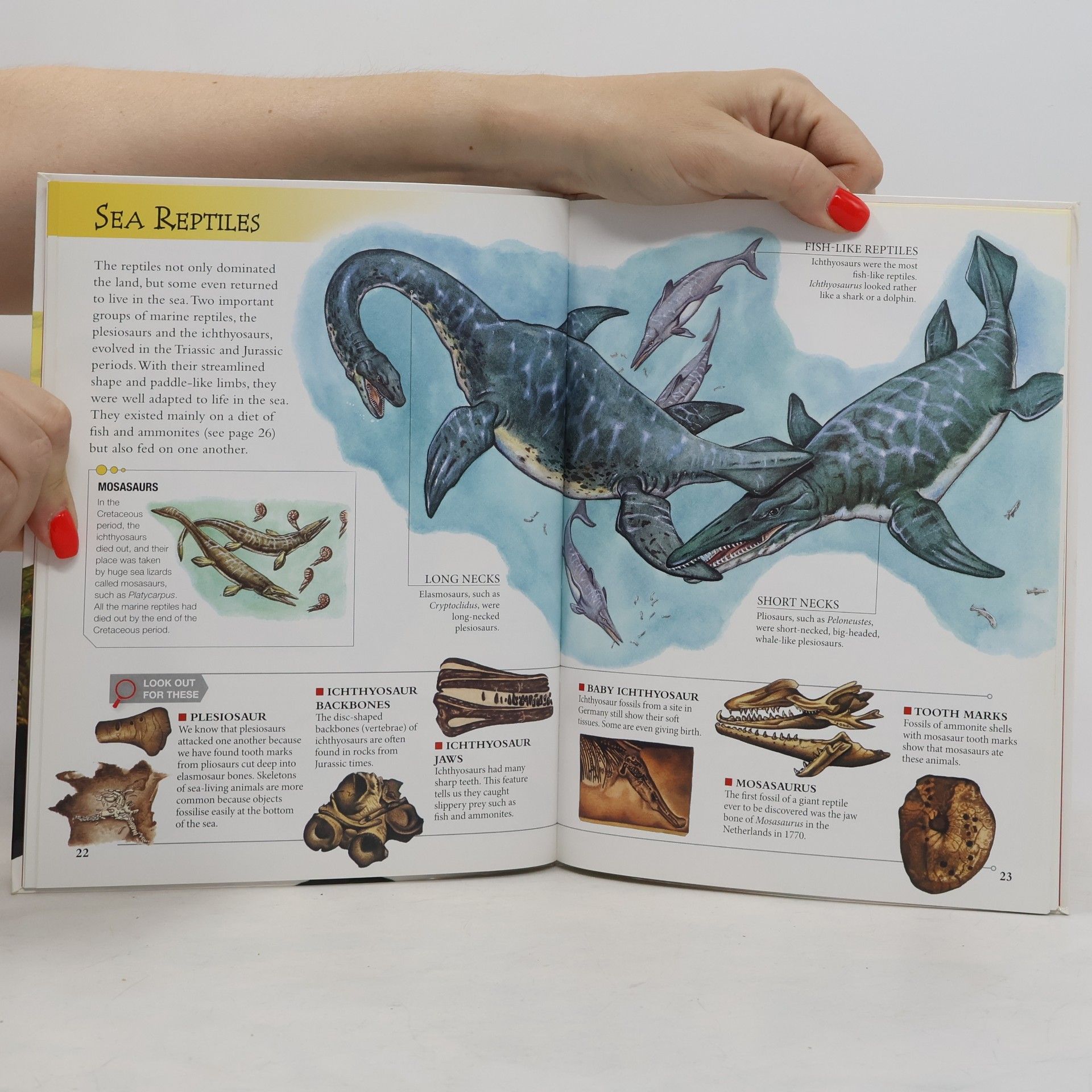 Dougal Dixon Spotlights: Dinosaurs and Prehistoric Life