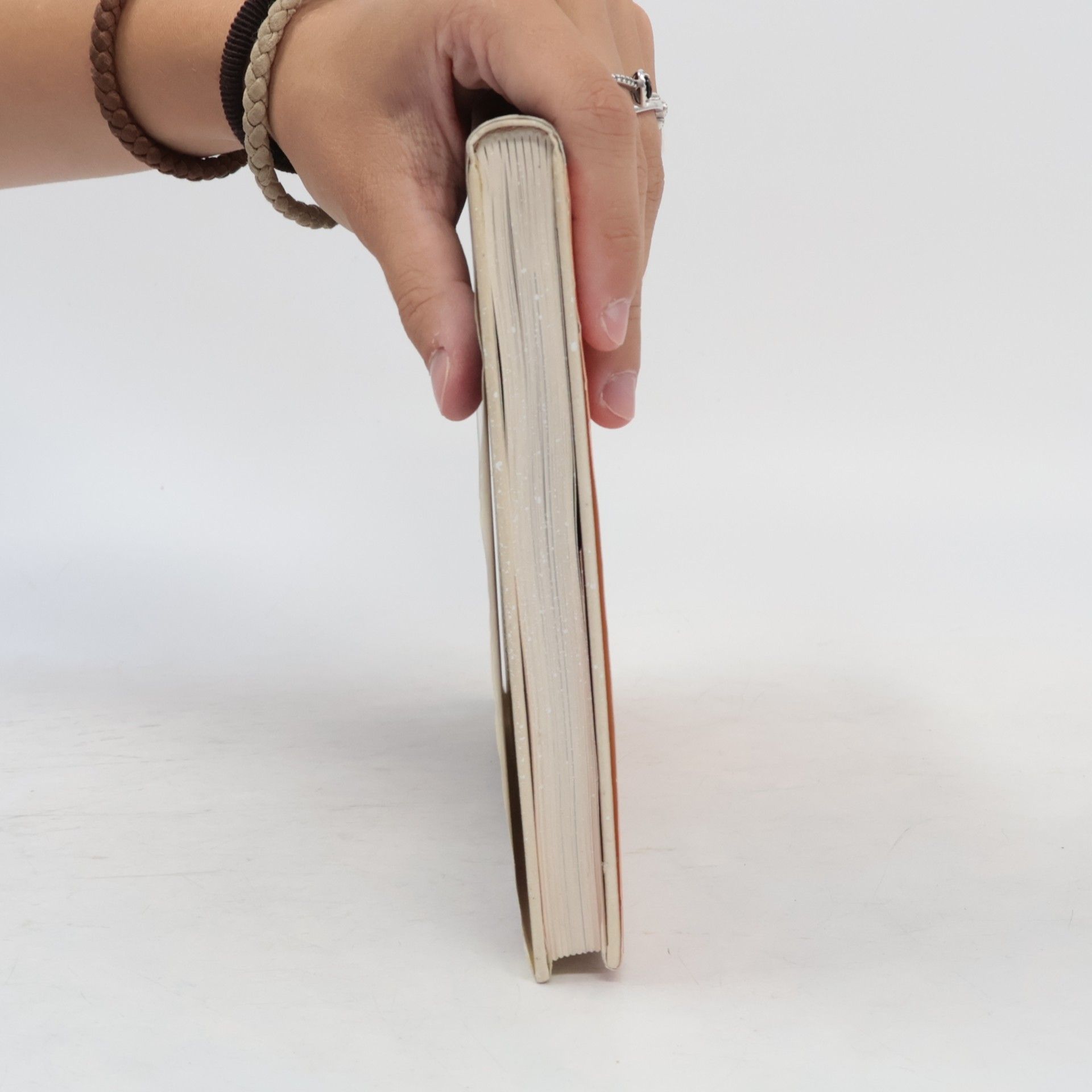 Ina Rösing Das Buch der sechsundzwanzig Beine