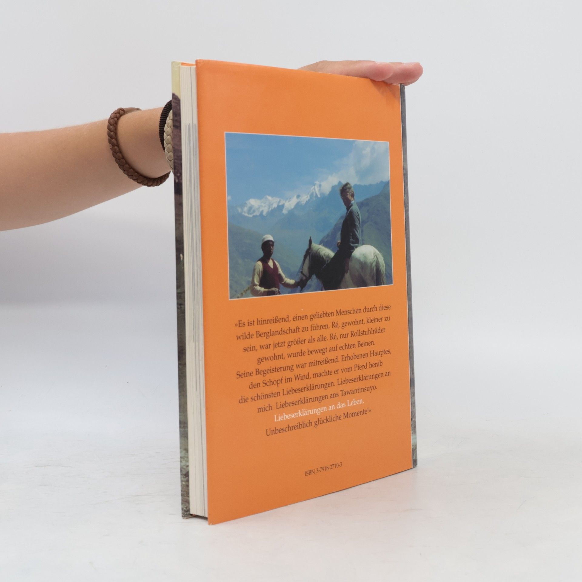 Ina Rösing Das Buch der sechsundzwanzig Beine