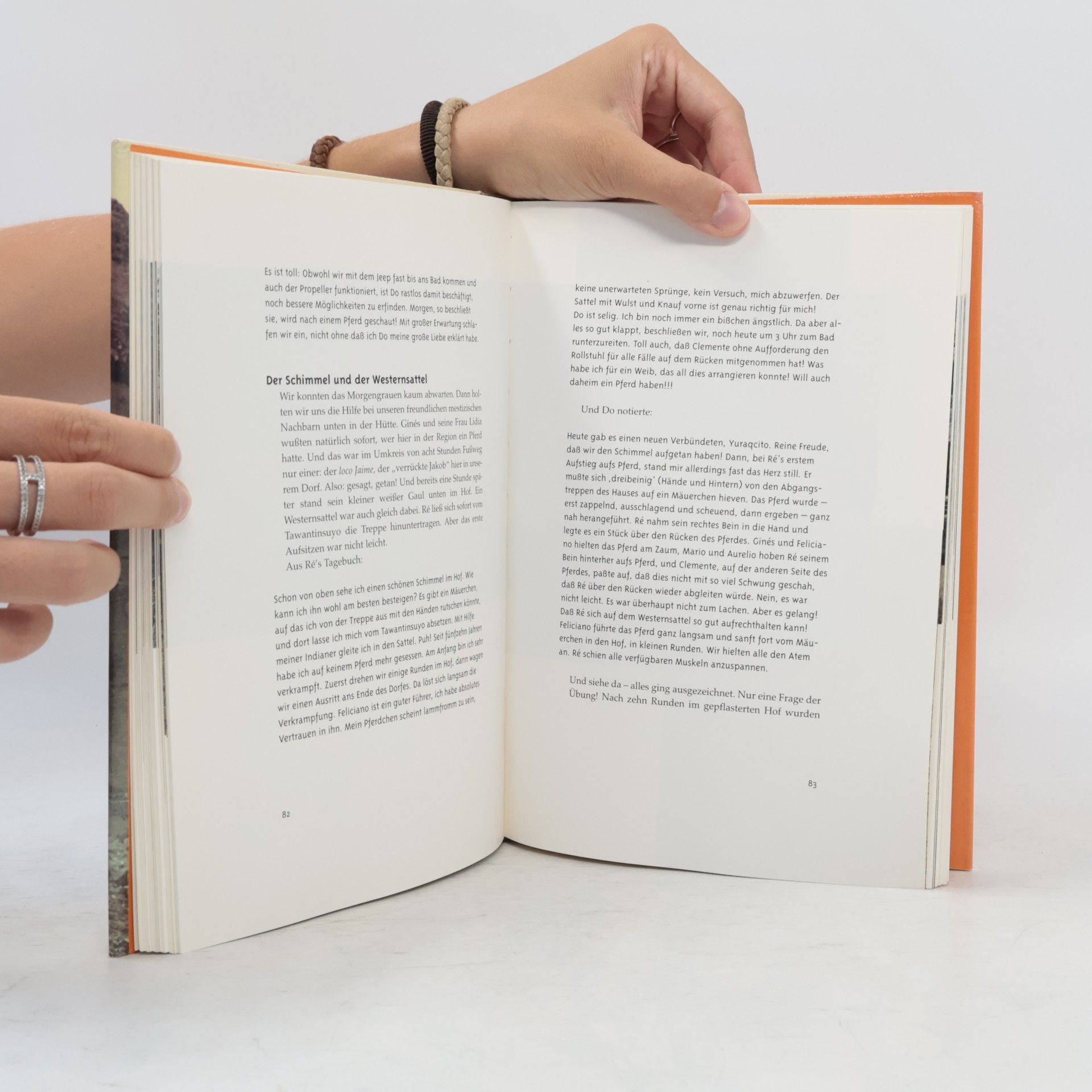 Ina Rösing Das Buch der sechsundzwanzig Beine