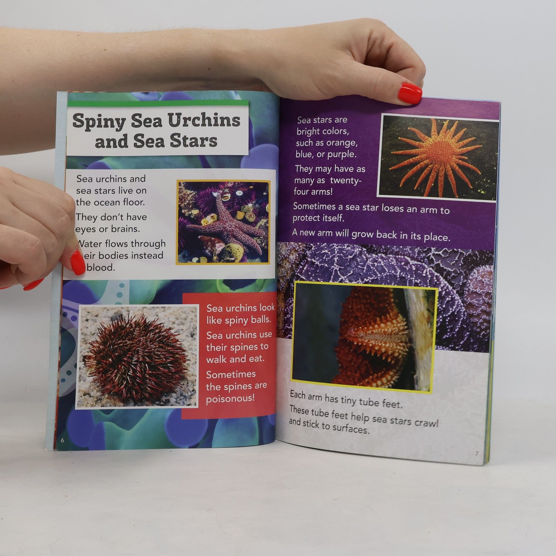 Various authors Discovery 2. Sea Life