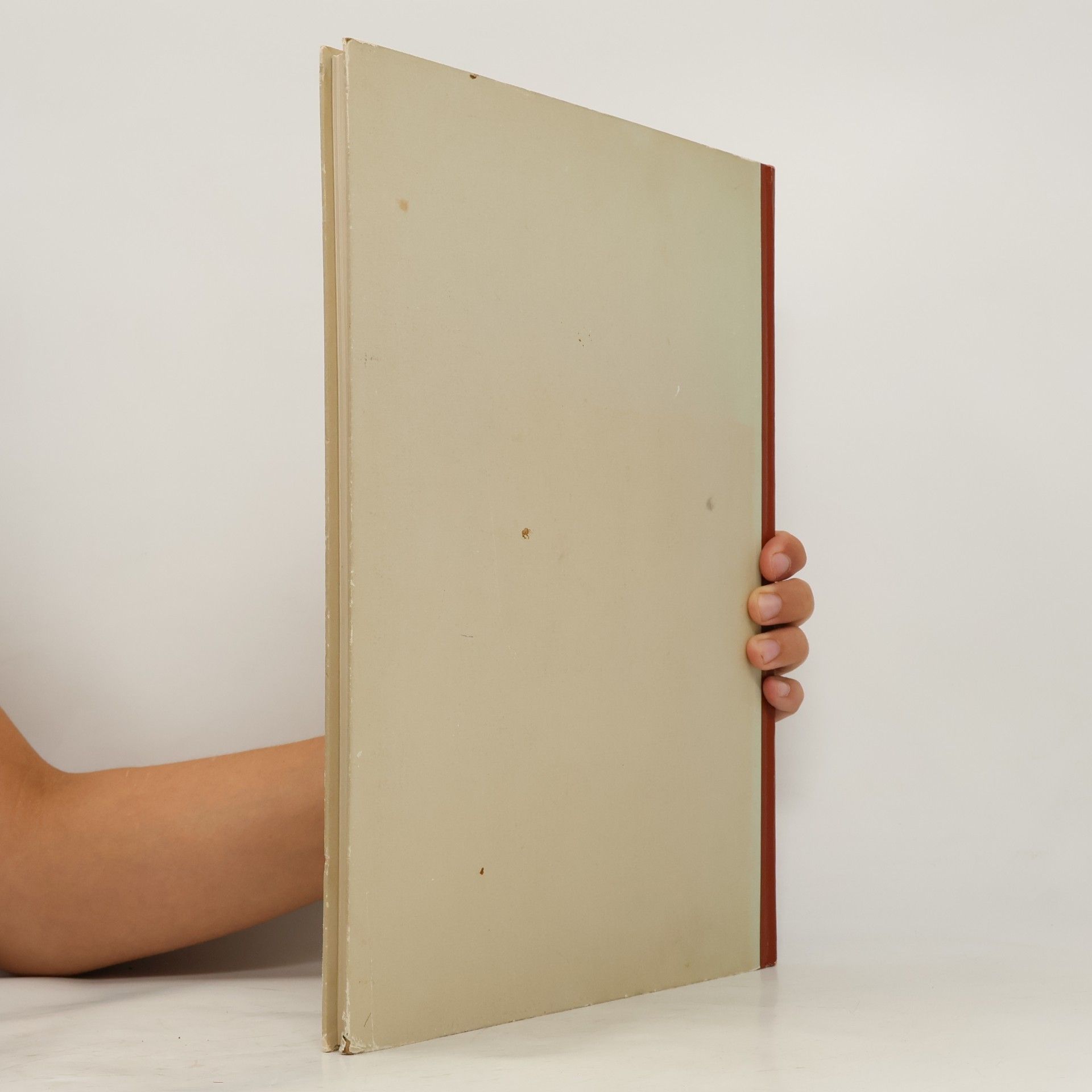 Autorenkollektiv Leonardo Da Vinci: Der Künstler und seine Zeit