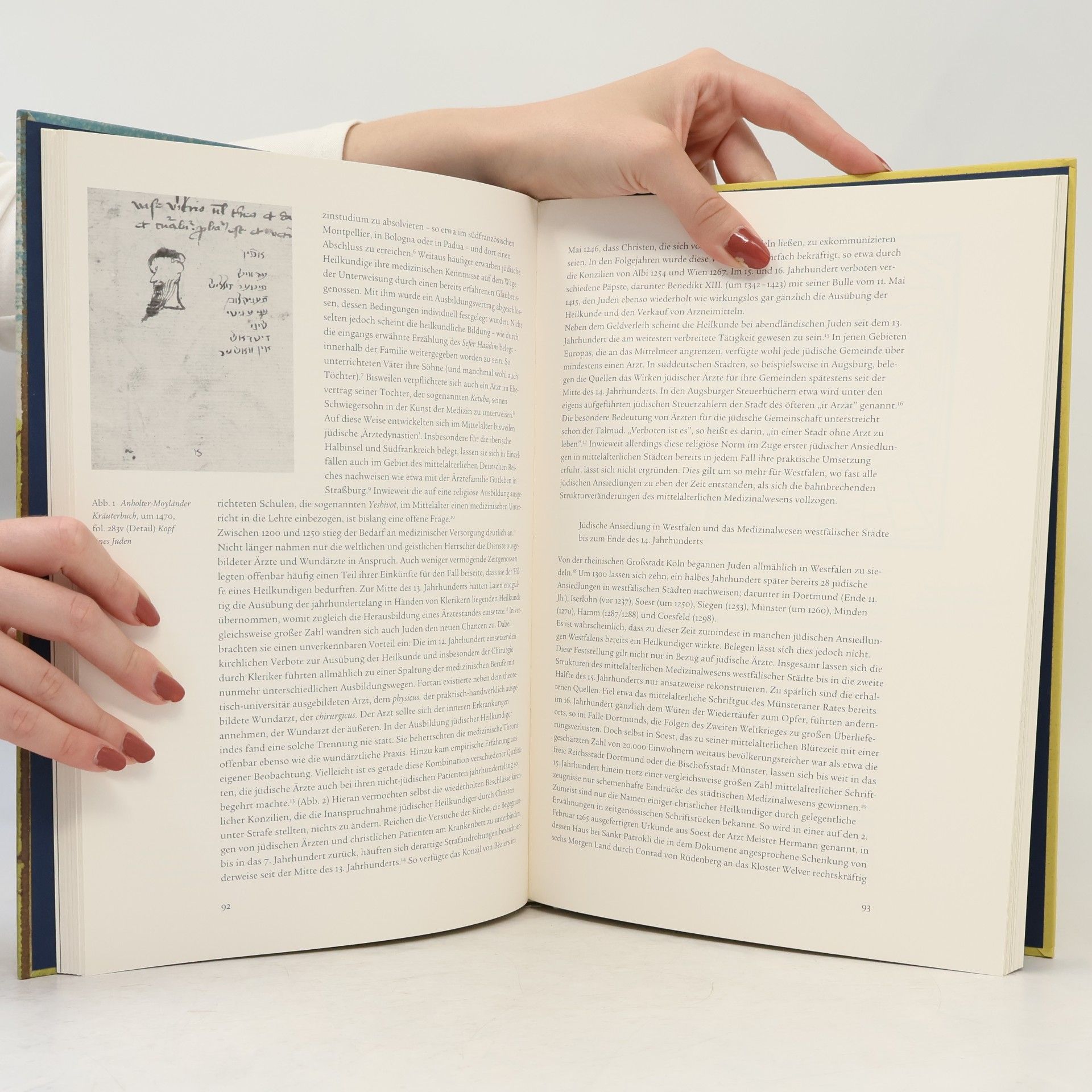 Autorenkollektiv Pflanzenkunde im Mittelalter