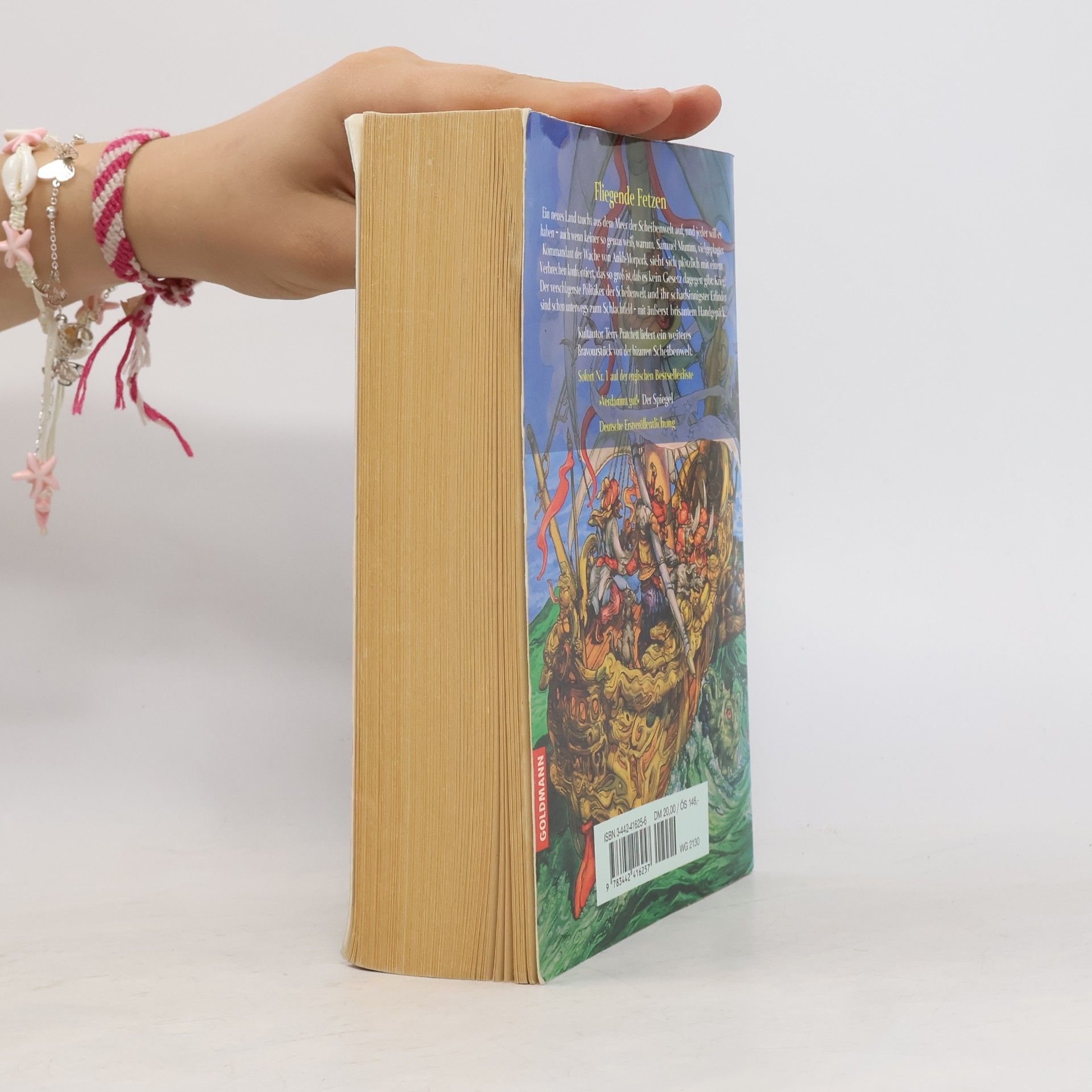 Terry Pratchett Fliegende Fetzen