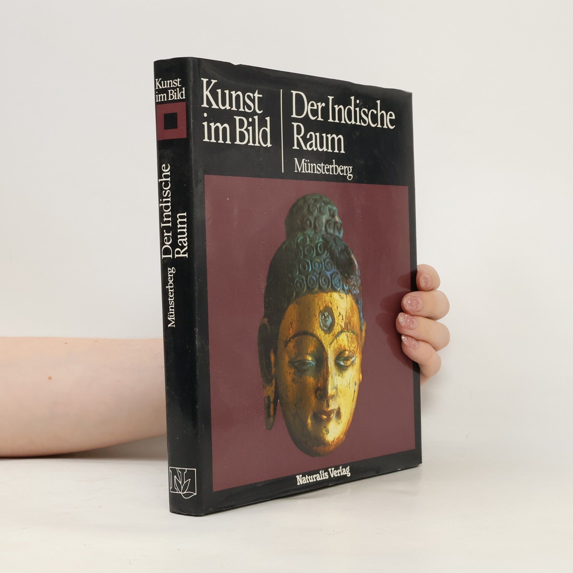 Kolektiv autorů Der indische Raum