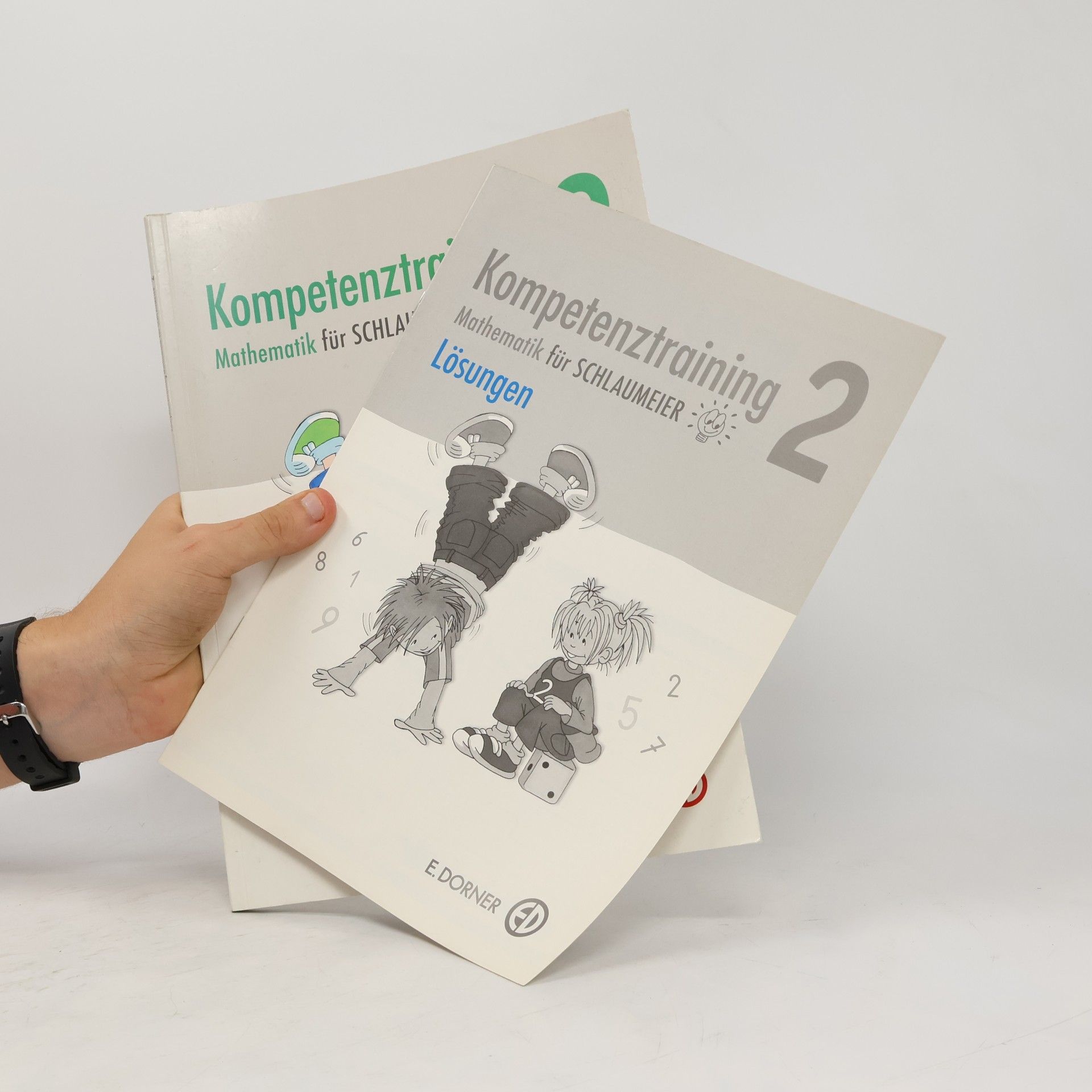 Kompetenztraining Mathematik für Schlaumeier