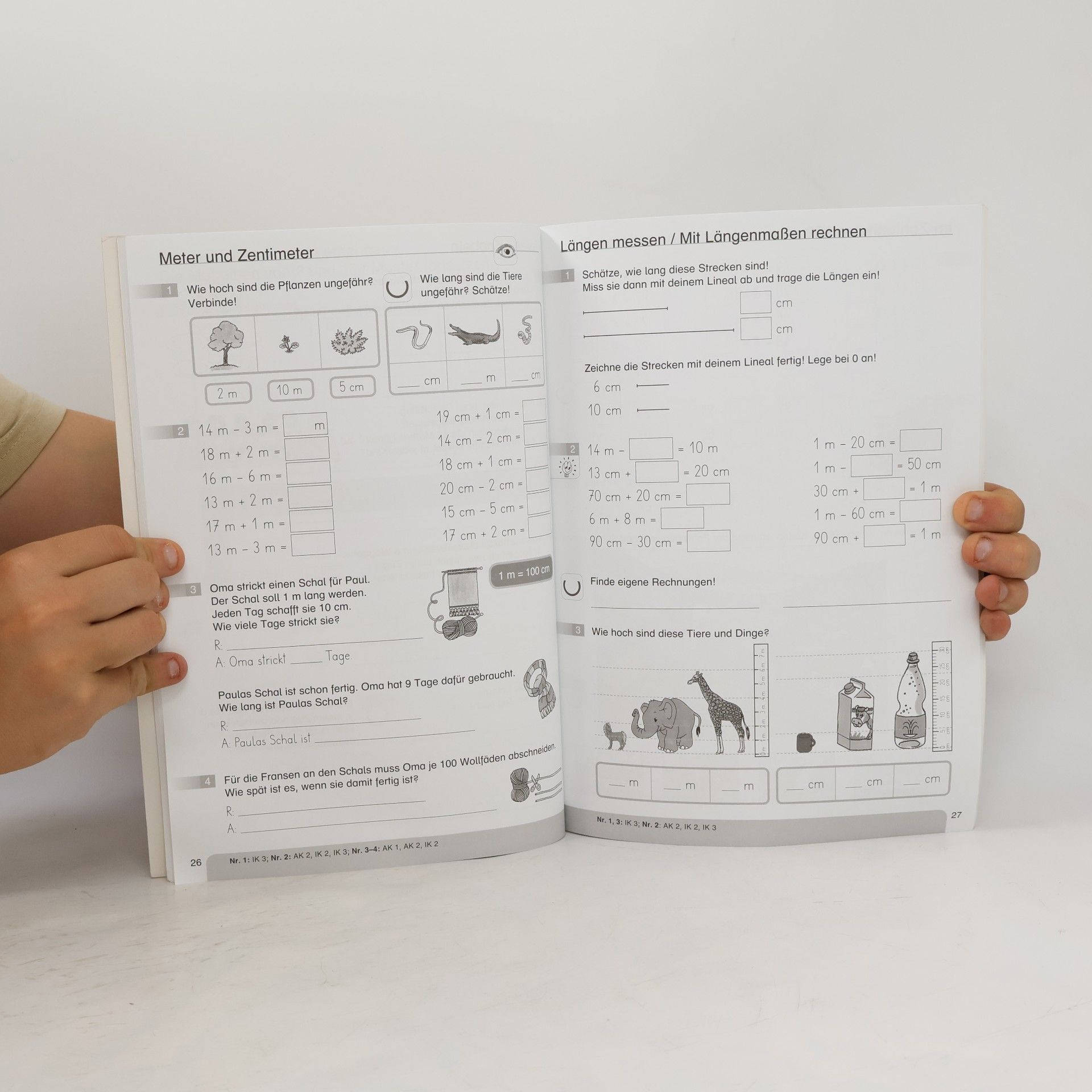 Kompetenztraining Mathematik für Schlaumeier