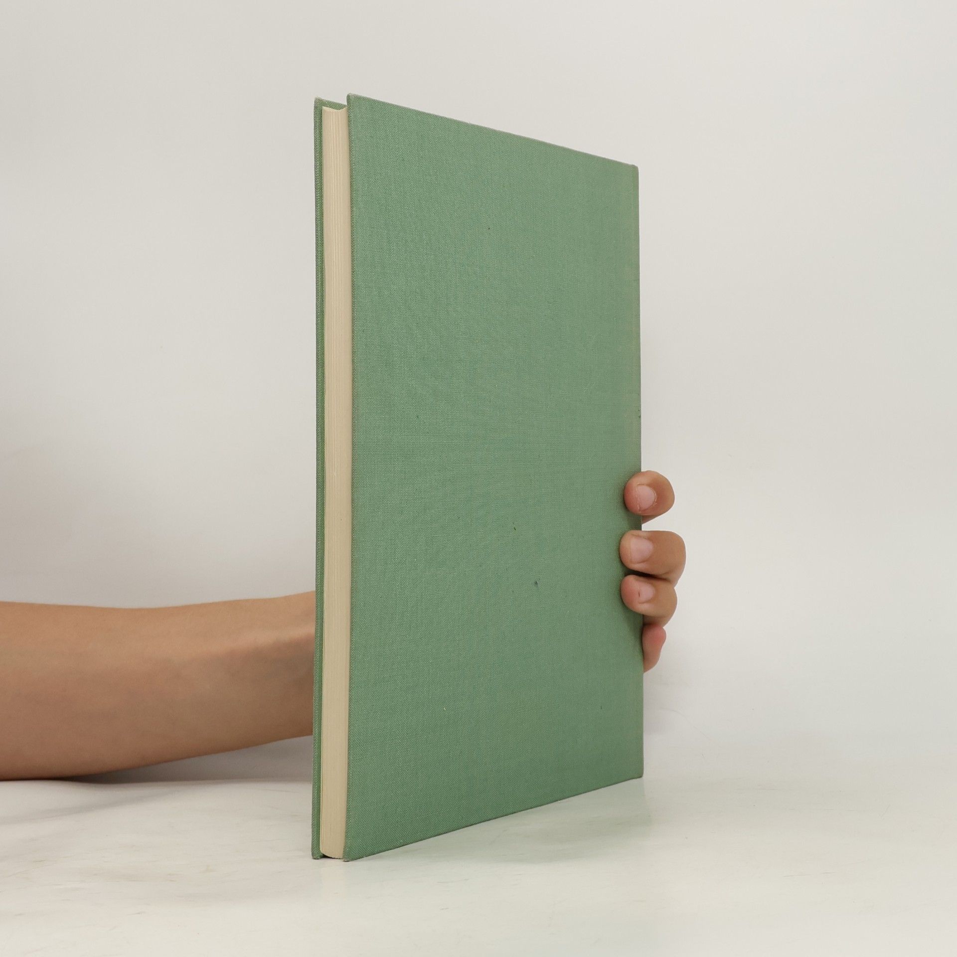 Autorenkollektiv Die Dresdner Galerie