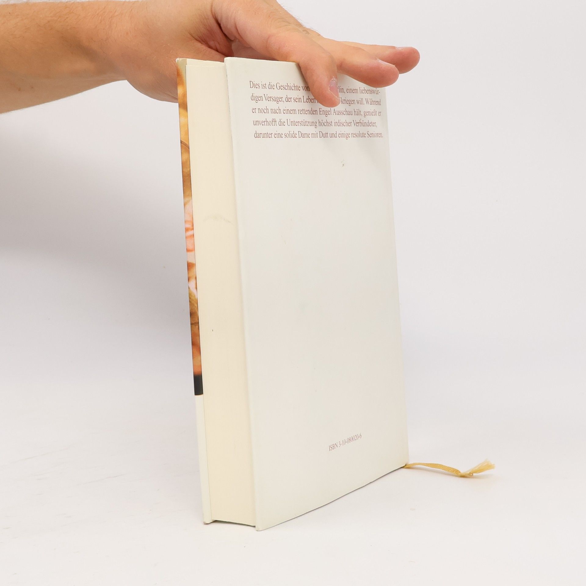 Anne Tyler Engel gesucht. Roman