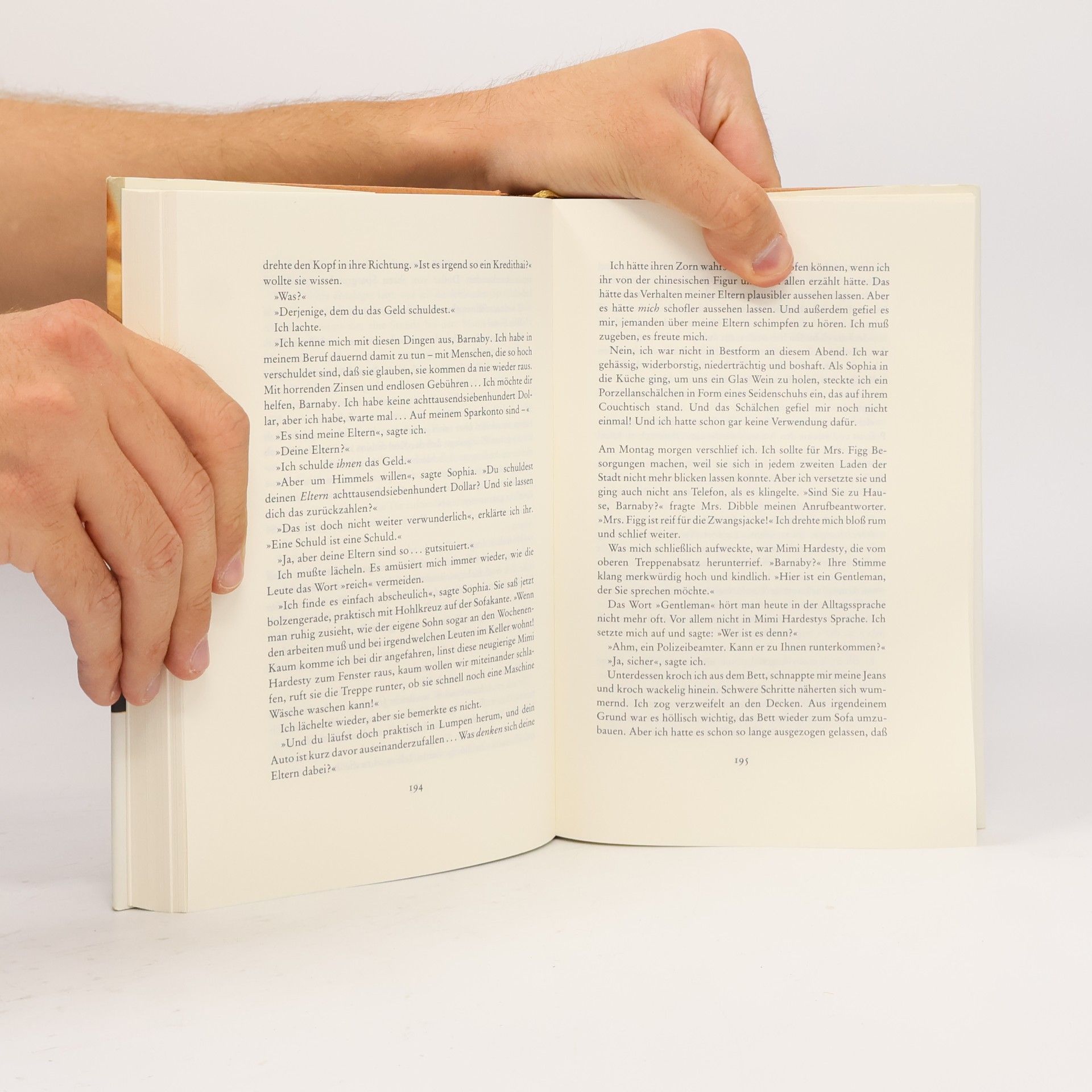 Anne Tyler Engel gesucht. Roman