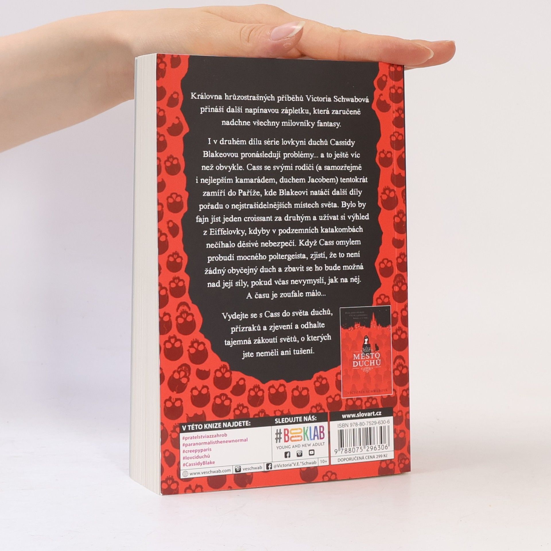 V. E. Schwab Tunel kostí