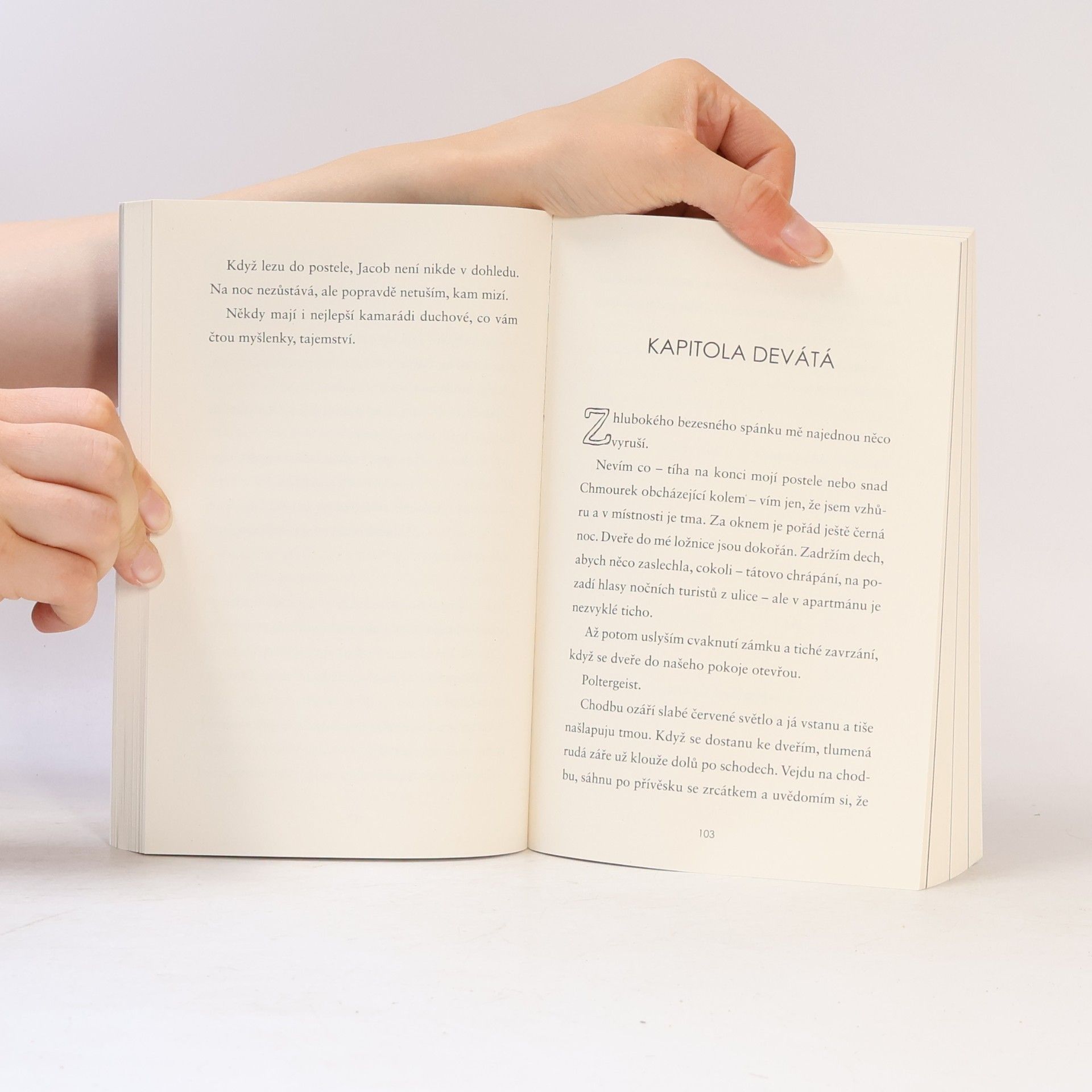 V. E. Schwab Tunel kostí
