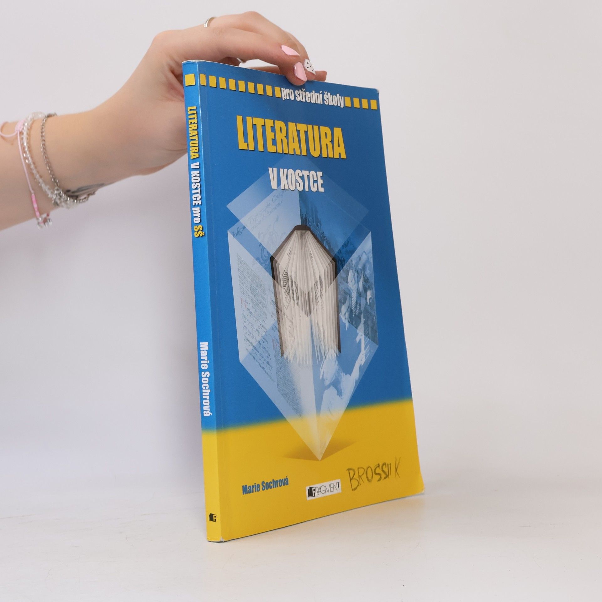 Marie Sochrová Literatura v kostce : pro střední školy