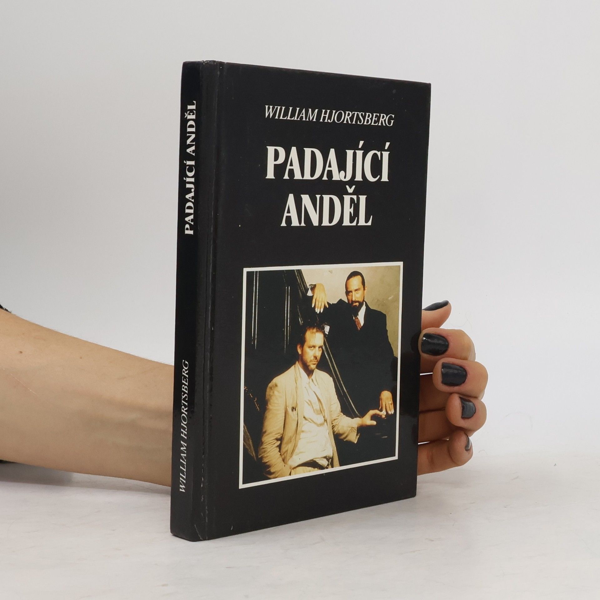 William Hjortsberg Padající anděl