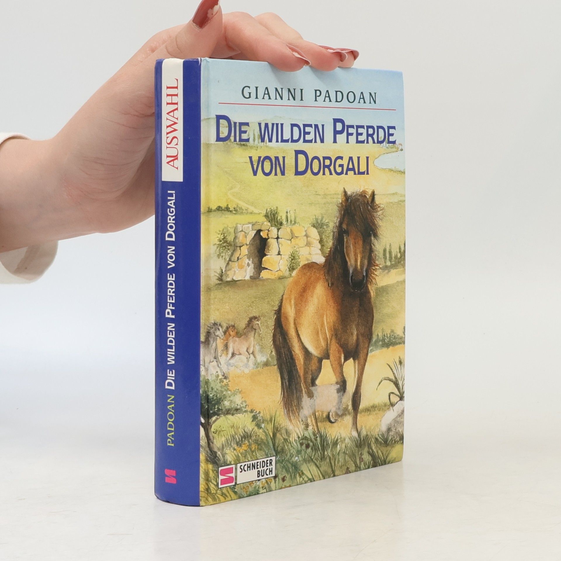 Gianni Padoan Die wilden Pferde von Dorgali