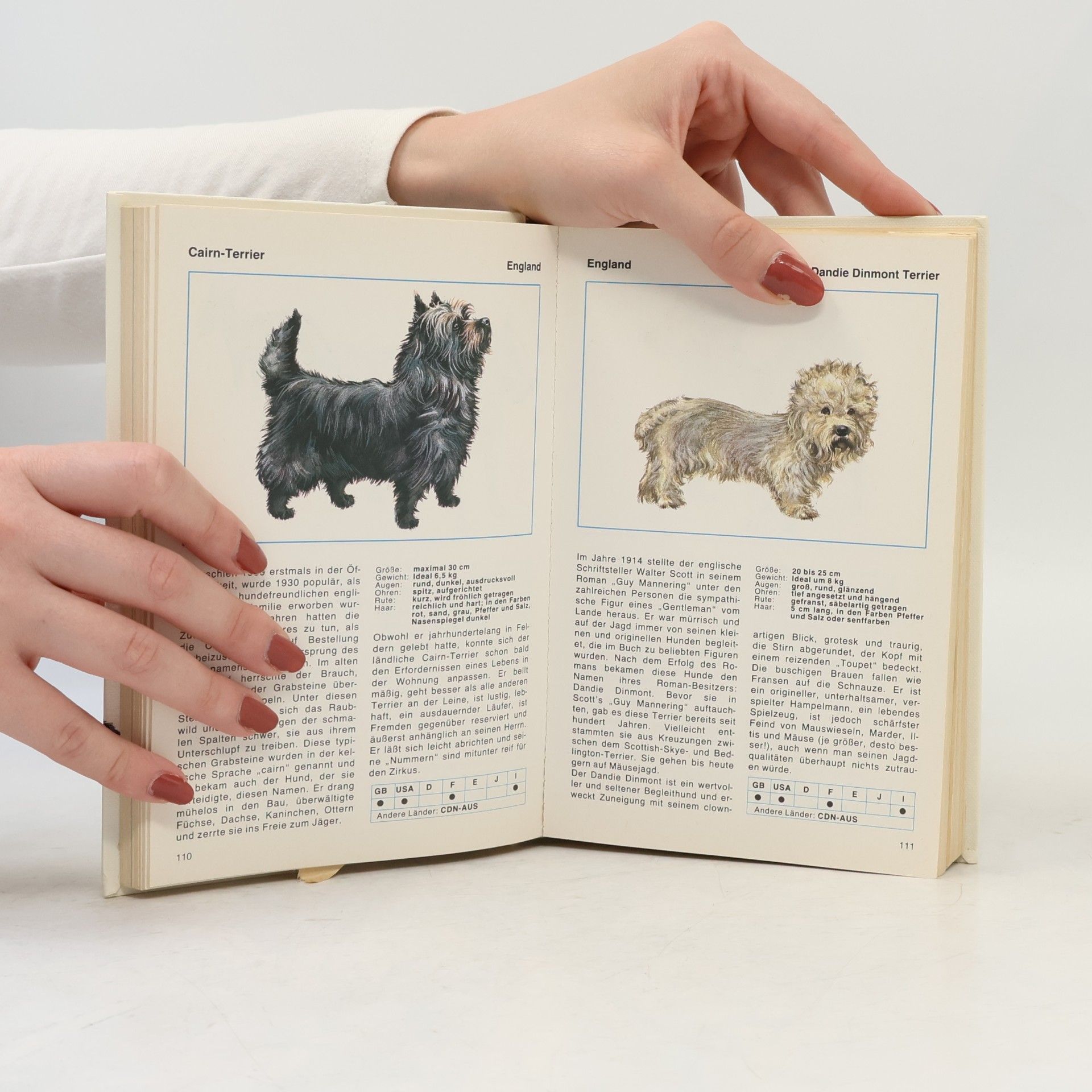 Gino Pugnetti Hunde-lexikon