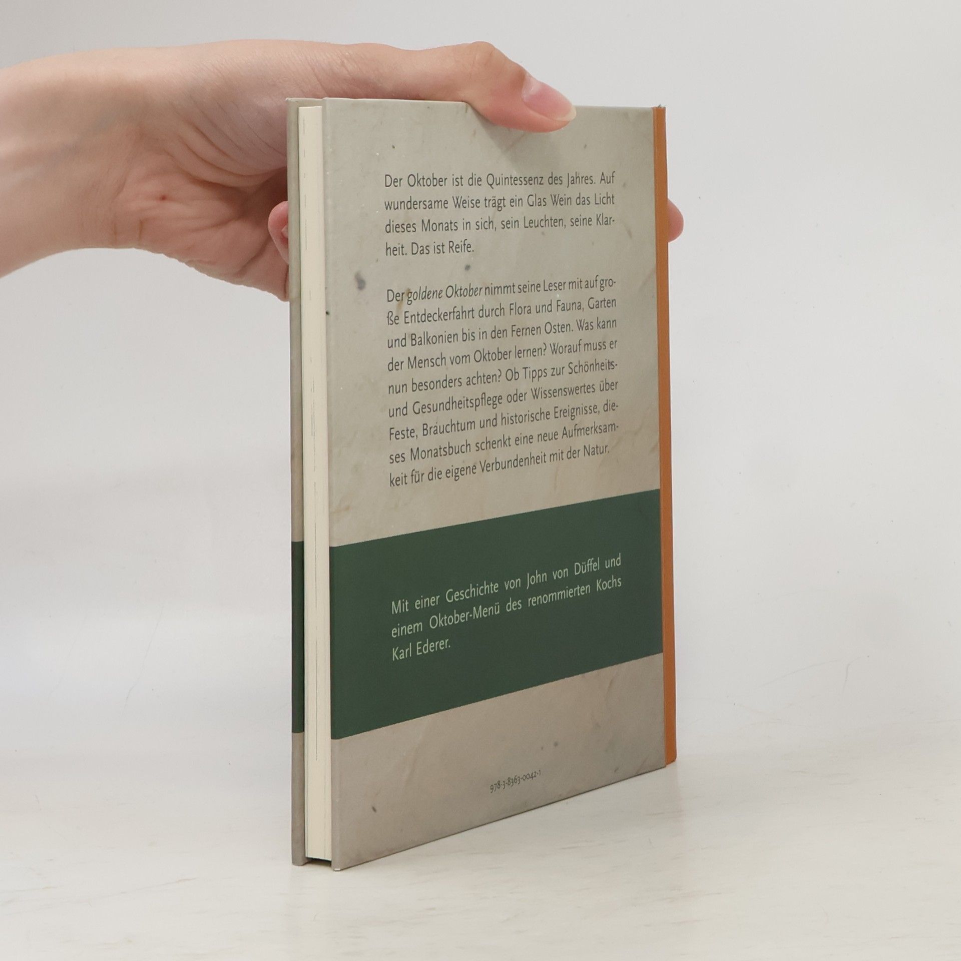 John Düffel Das Buch vom goldenen Oktober