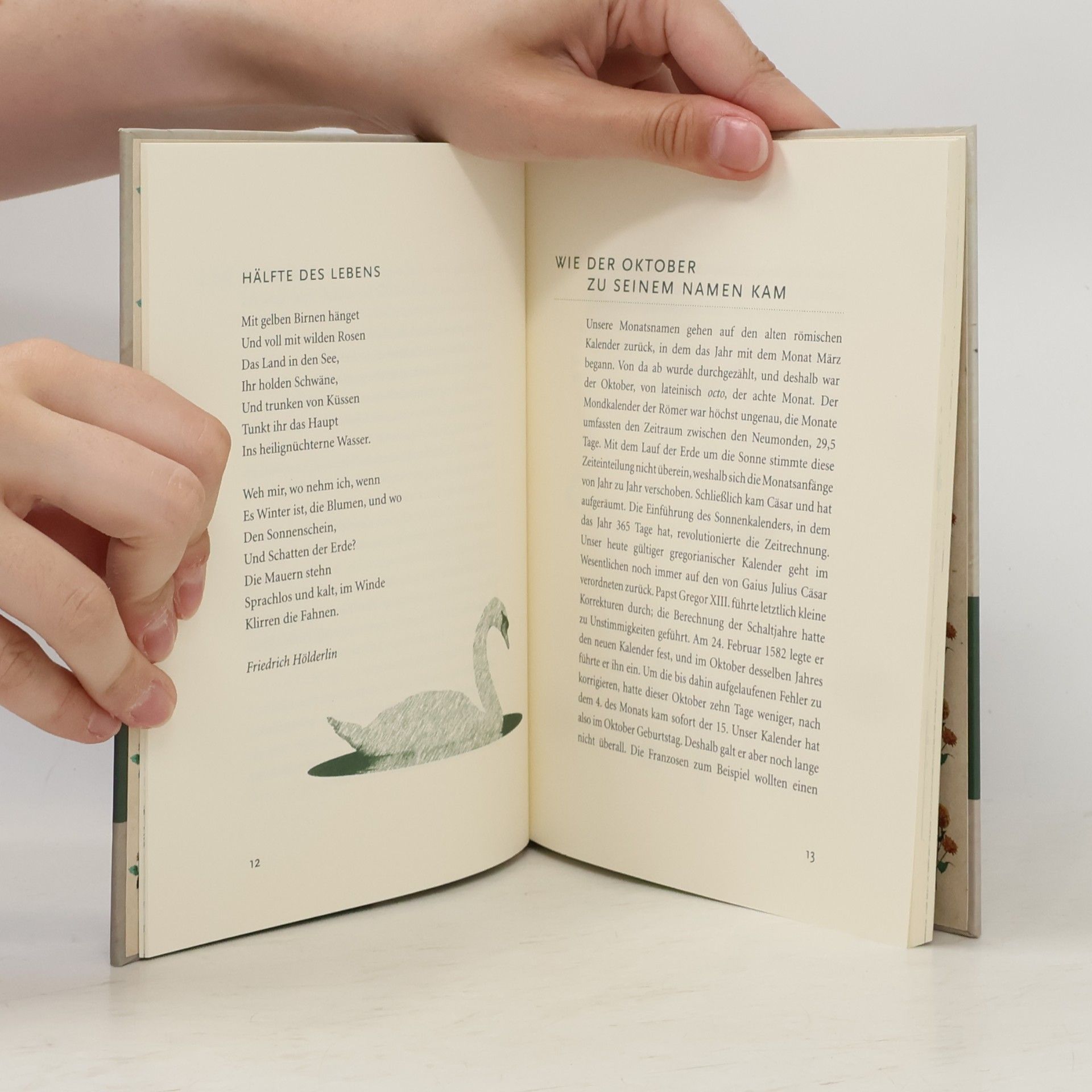 John Düffel Das Buch vom goldenen Oktober