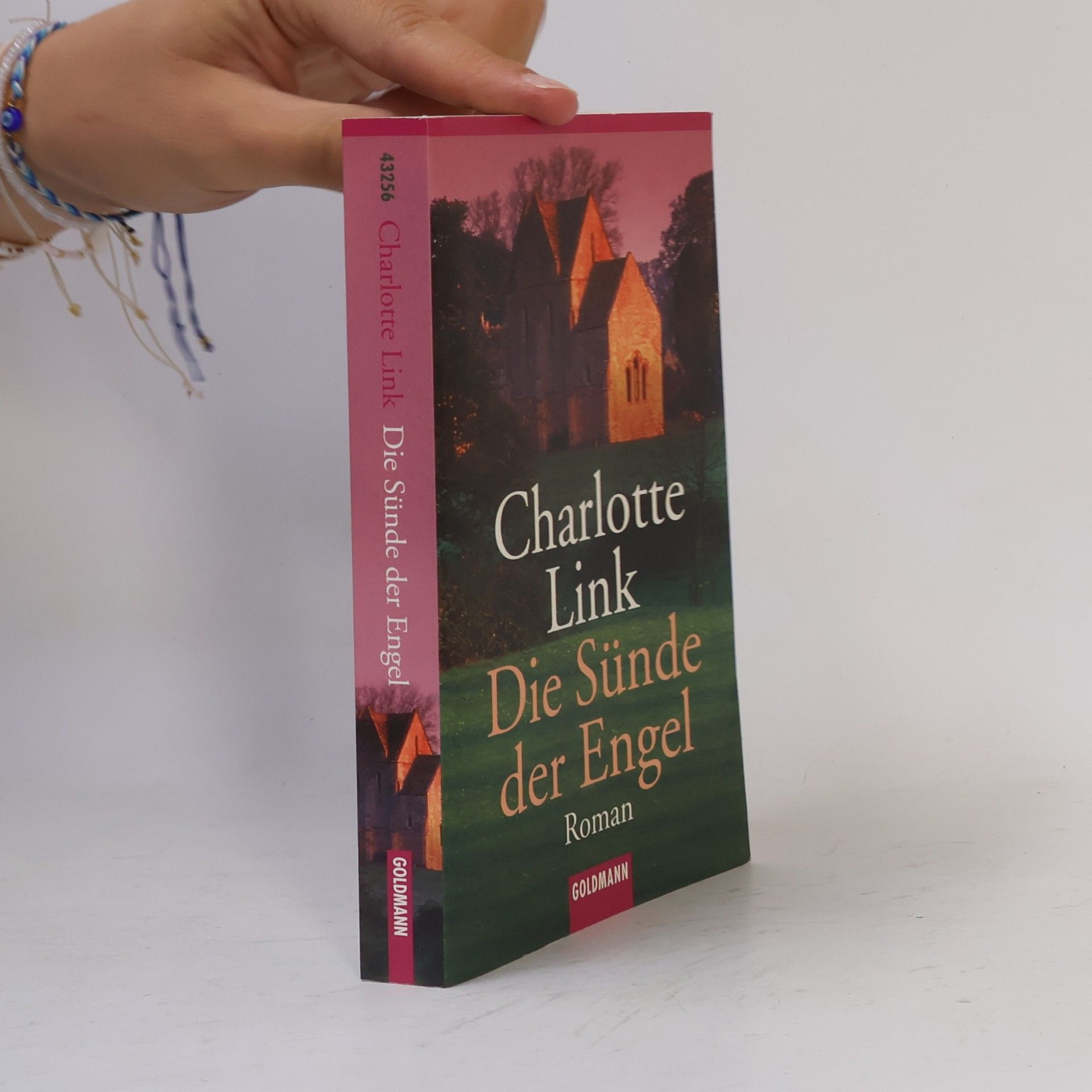 Charlotte Link Die Sünde der Engel