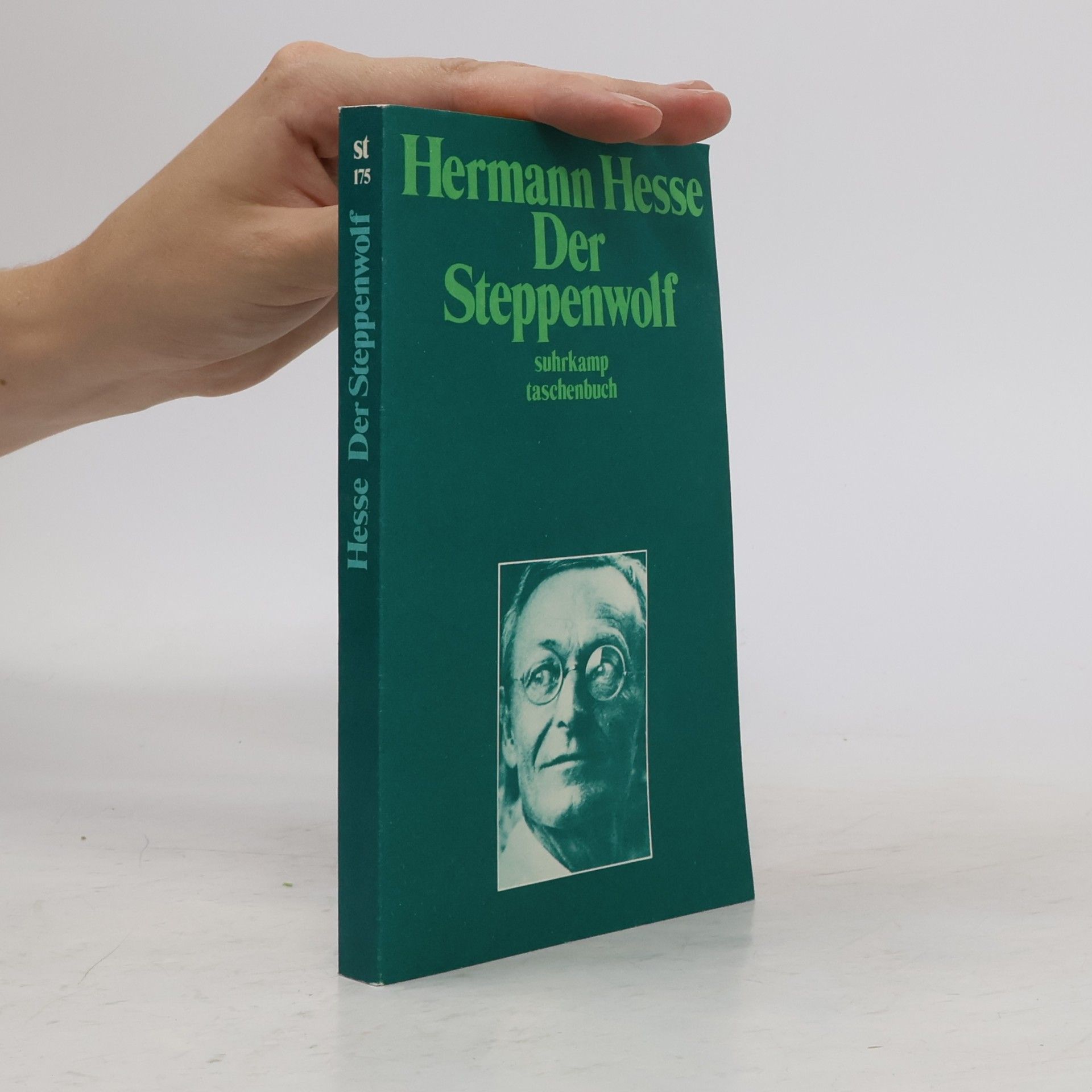 Hermann Hesse Der Steppenwolf