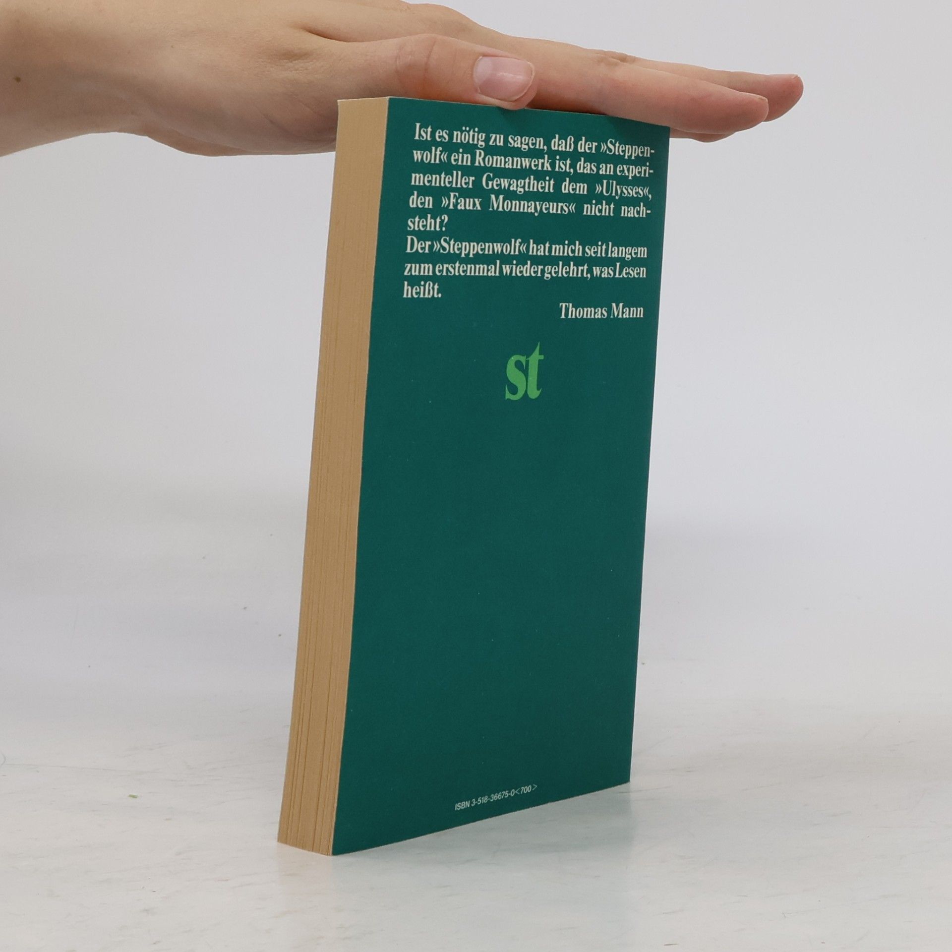 Hermann Hesse Der Steppenwolf