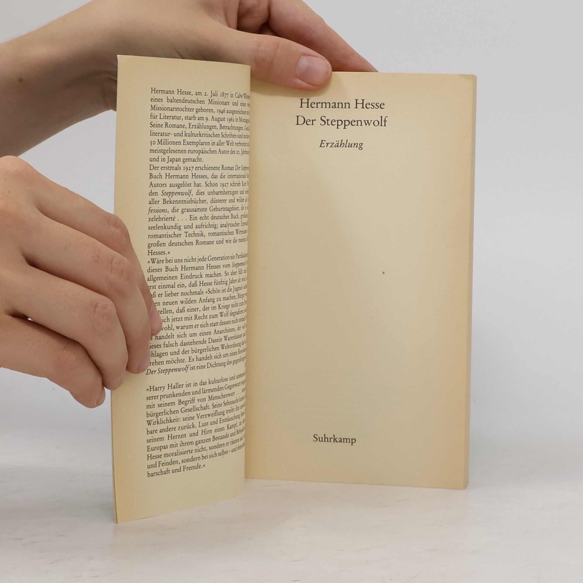 Hermann Hesse Der Steppenwolf