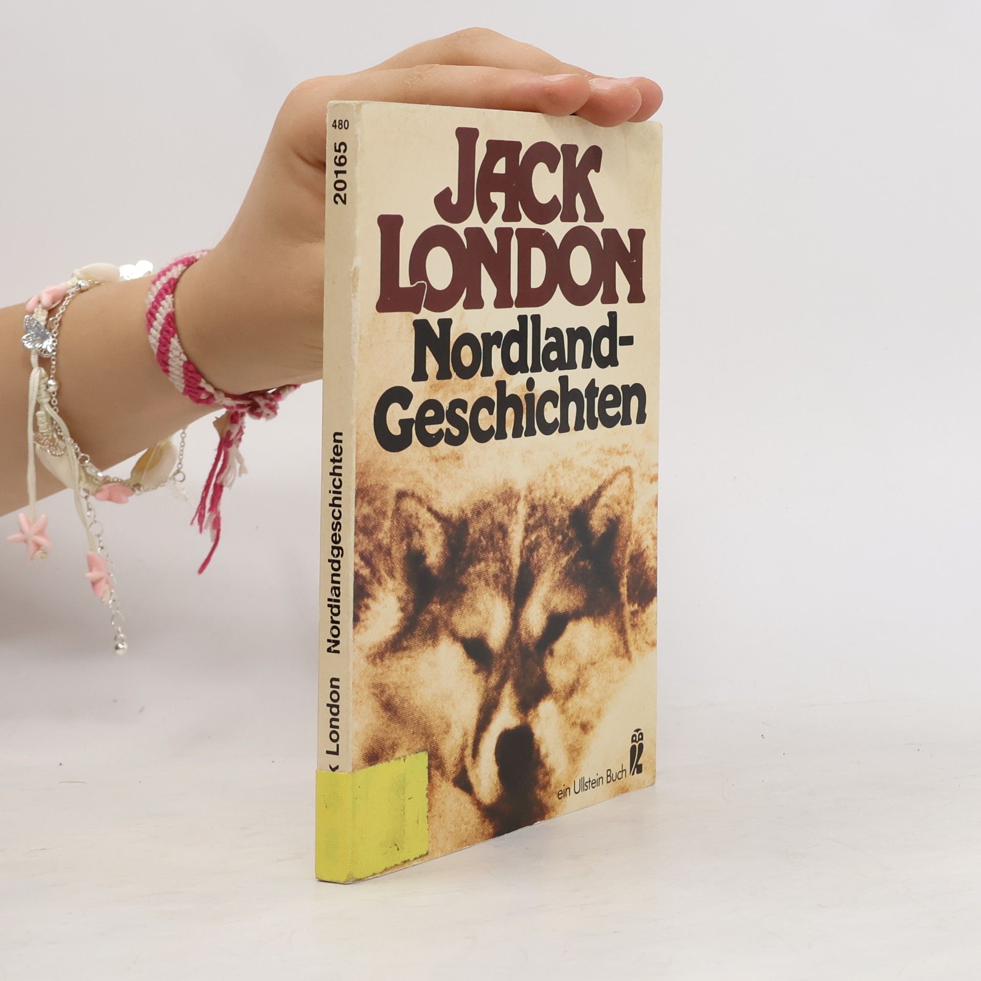 Jack London Nordland-Geschichten