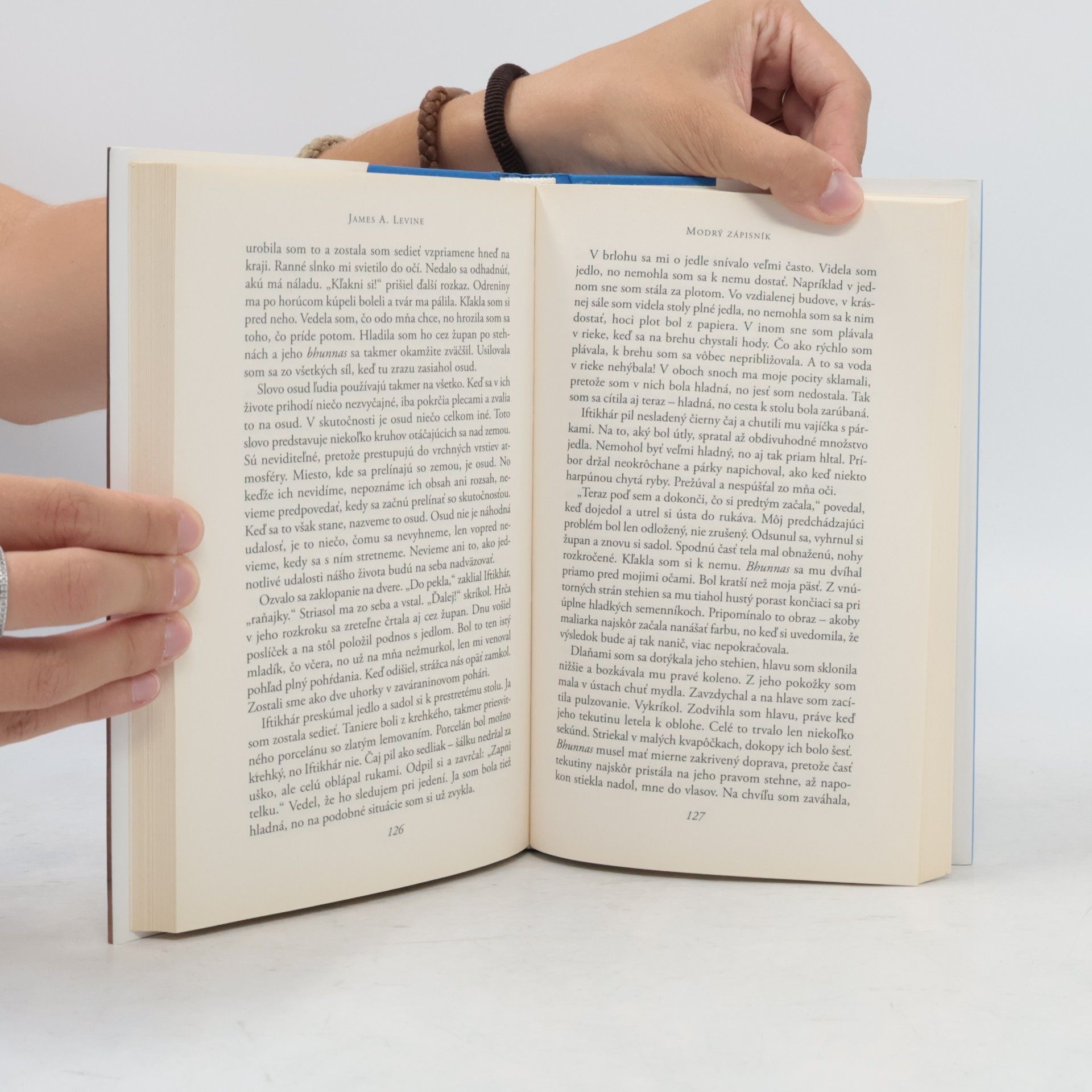 James A. Levine Modrý zápisník