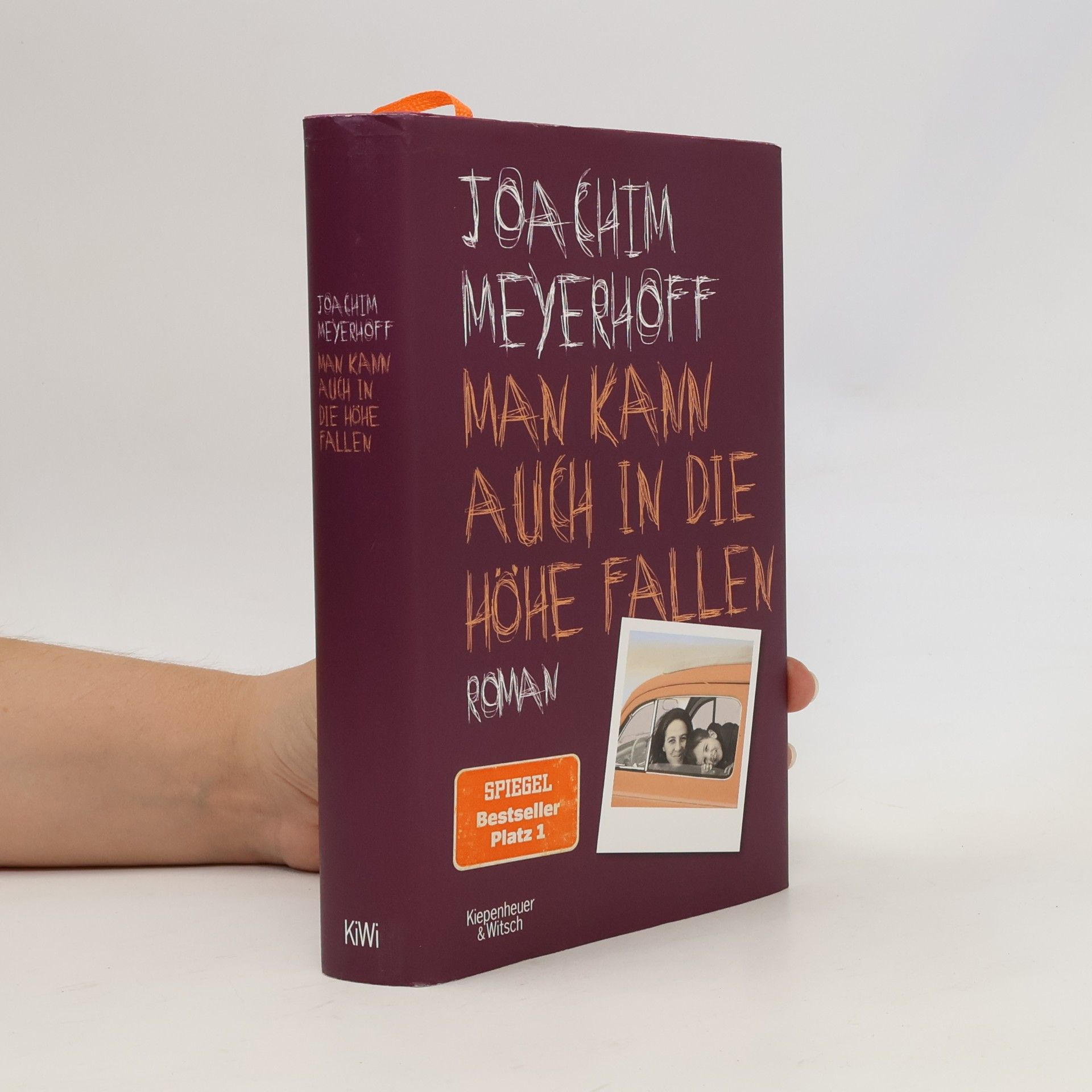 Joachim Meyerhoff Man kann auch in die Höhe fallen