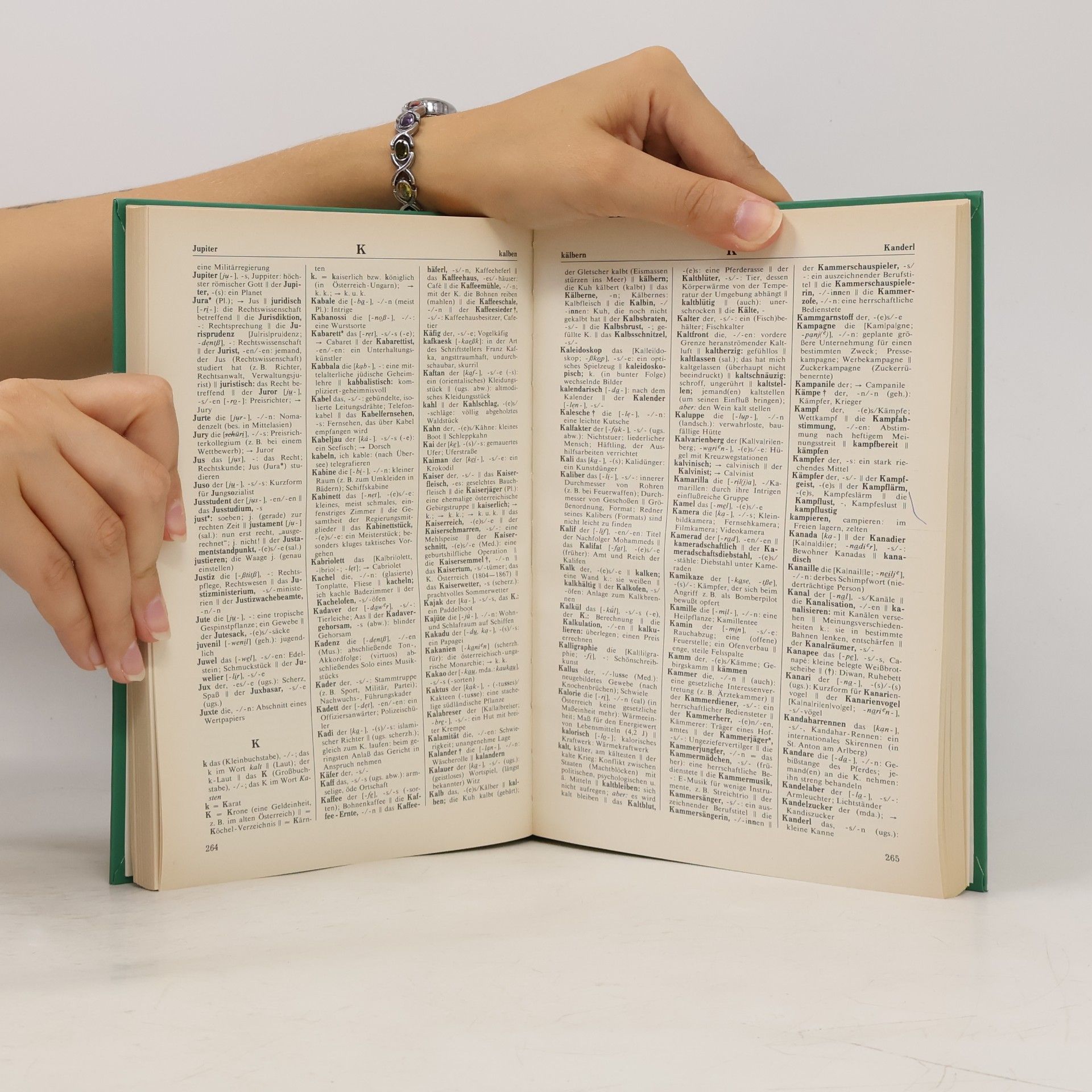 Autorenkollektiv Österreichisches Wörterbuch