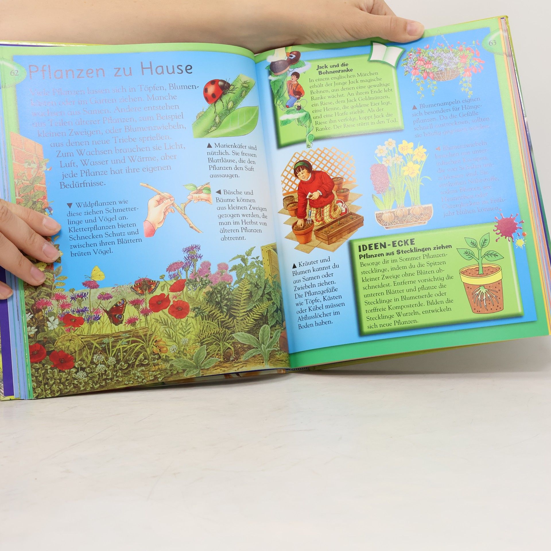 Miranda Smith Das grosse Kinderlexikon