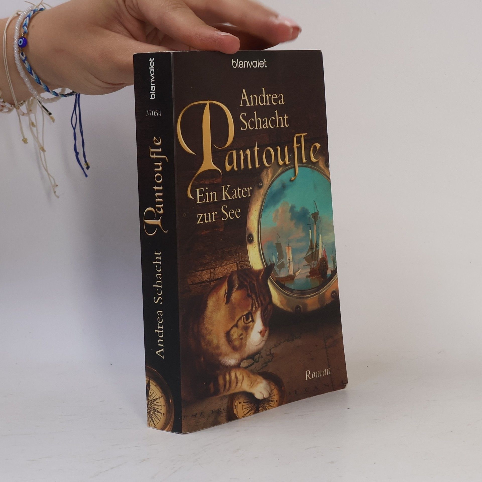 Andrea Schacht Pantoufle - Ein Kater zur See. Roman