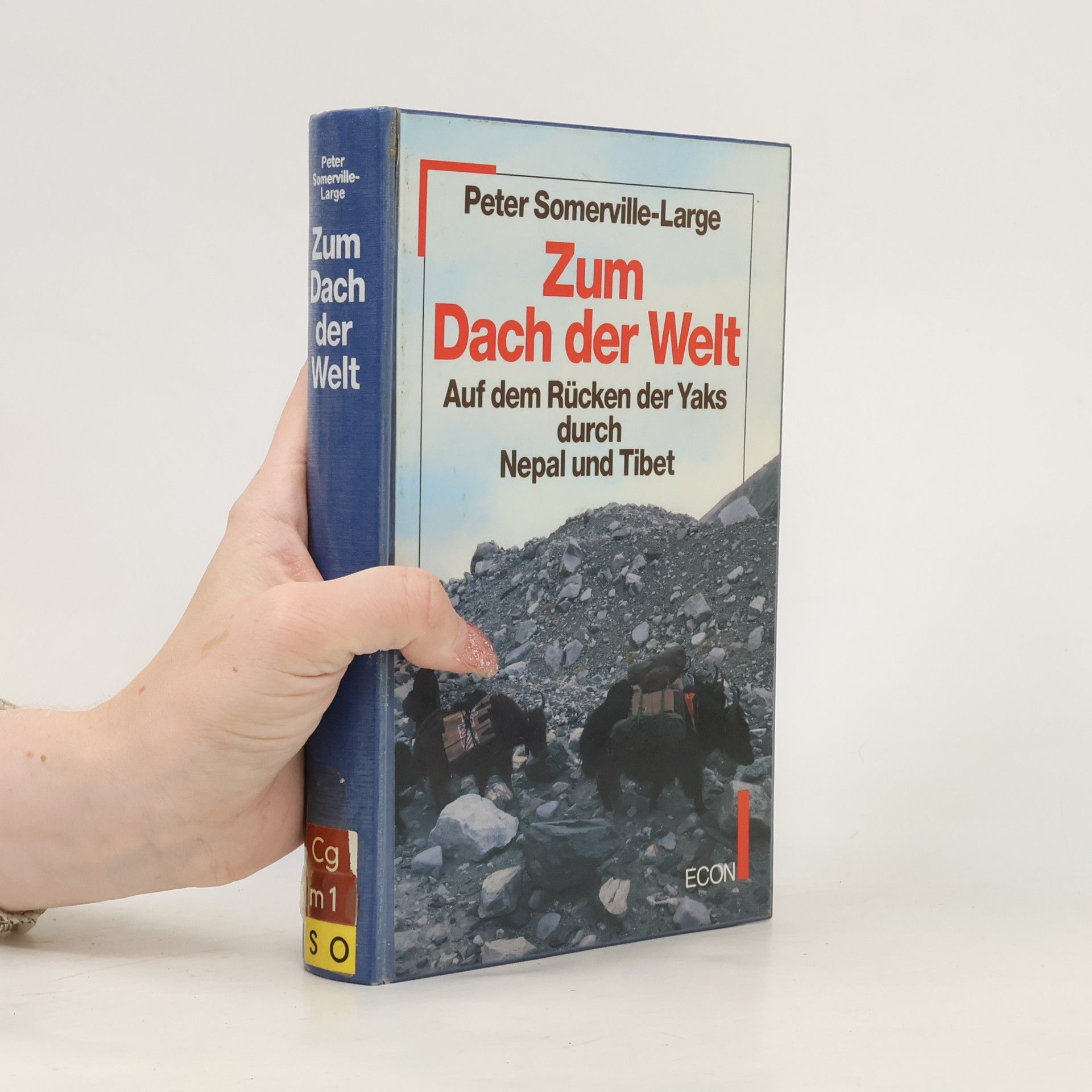 Peter Somerville-Large Zum Dach der Welt