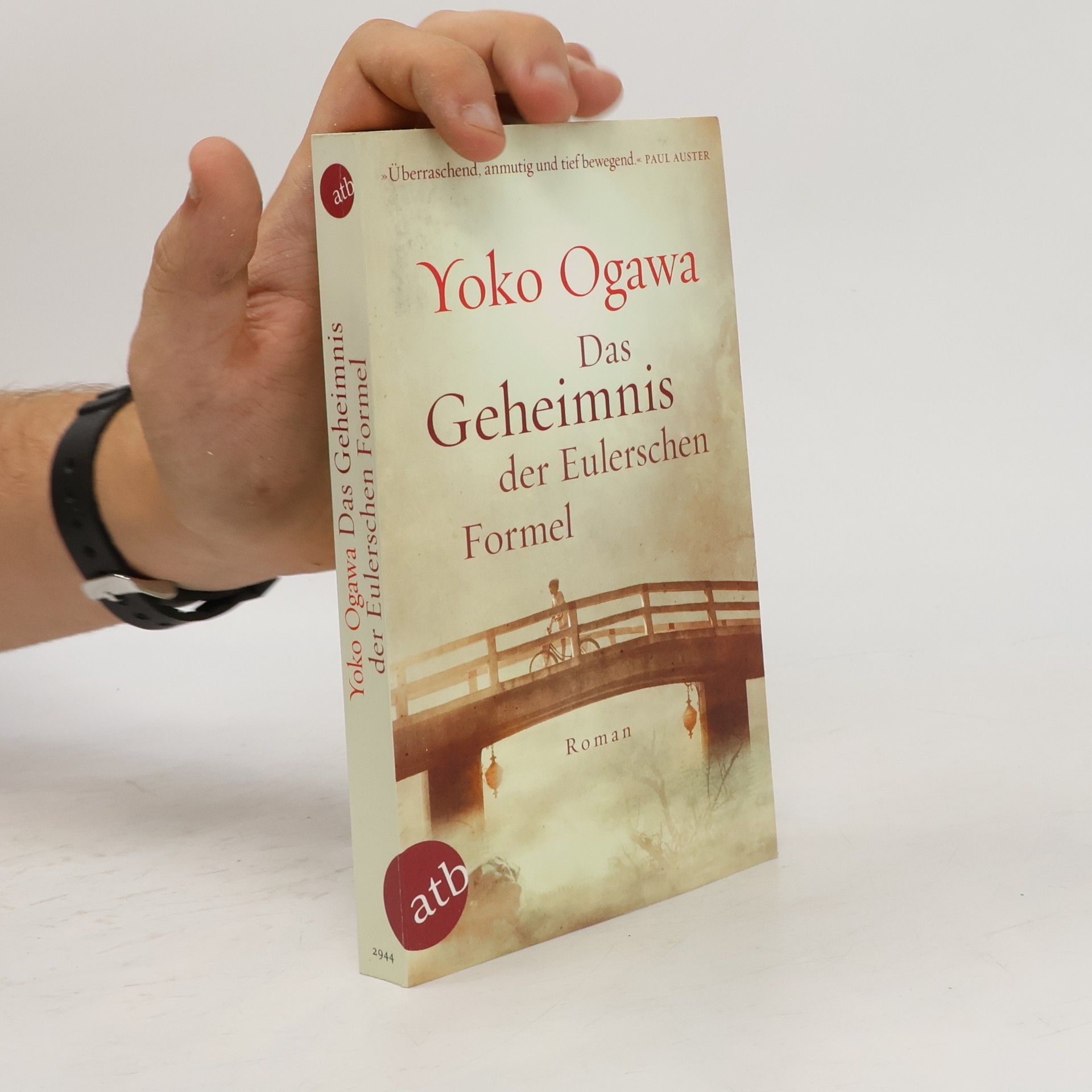 Yōko Ogawa Das Geheimnis der Eulerschen Formel