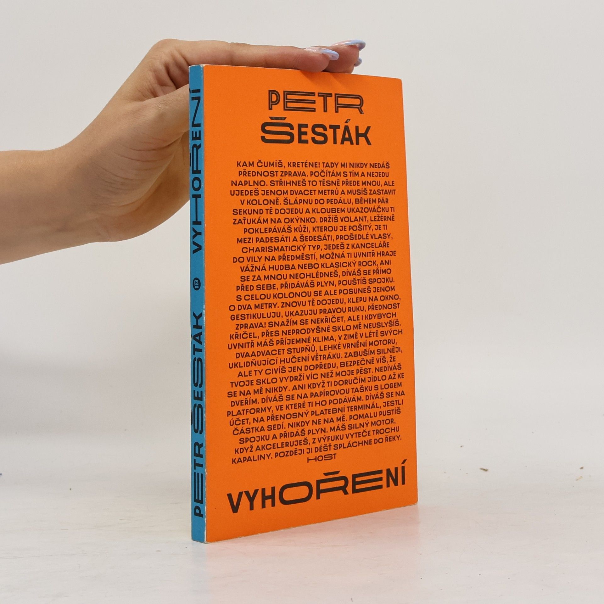 Petr Šesták Vyhoření
