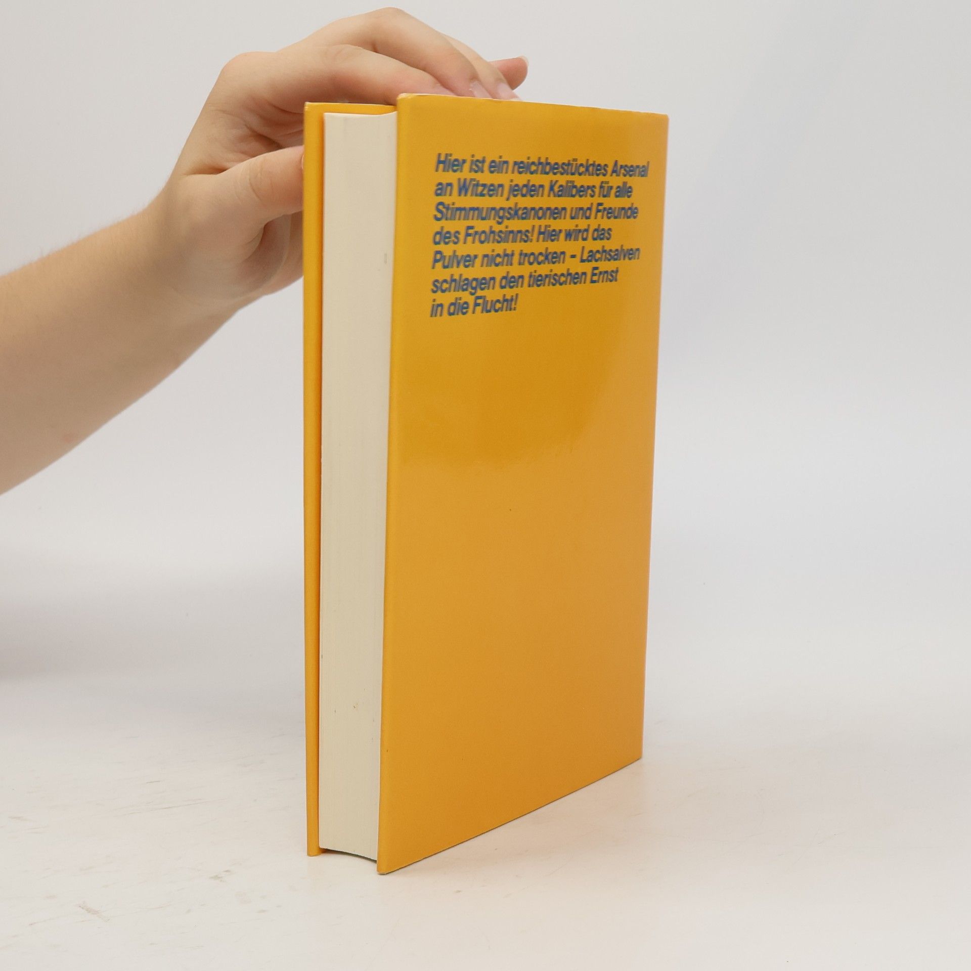Eberhard Holz Das grosse Buch der Witze