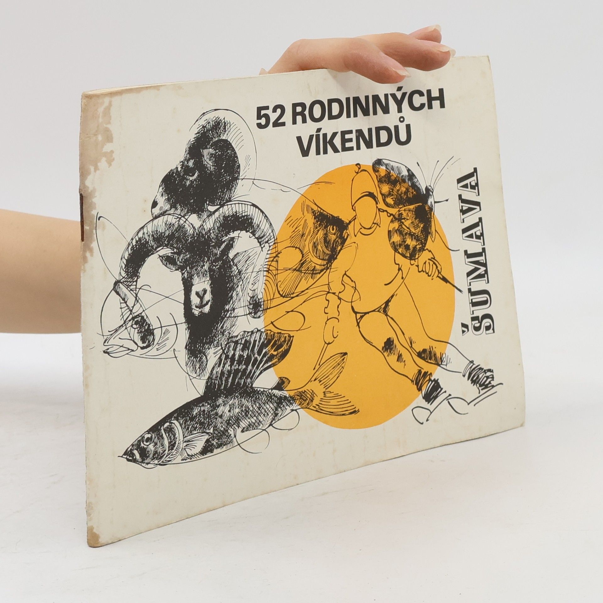 Kolektív autorov 52 rodinných víkendů