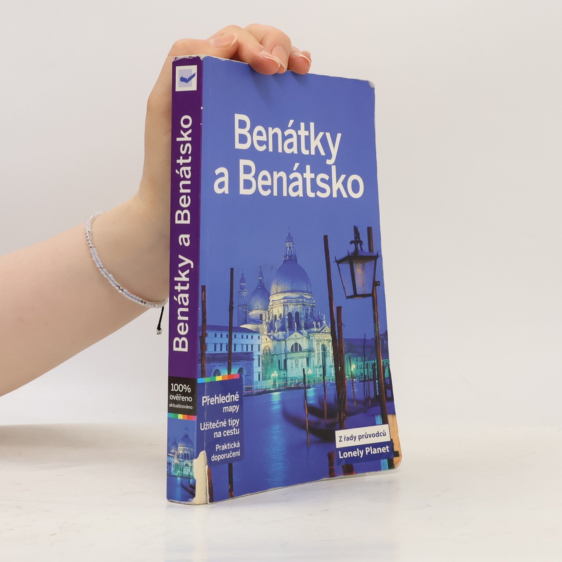 Alison Bing Benátky a Benátsko