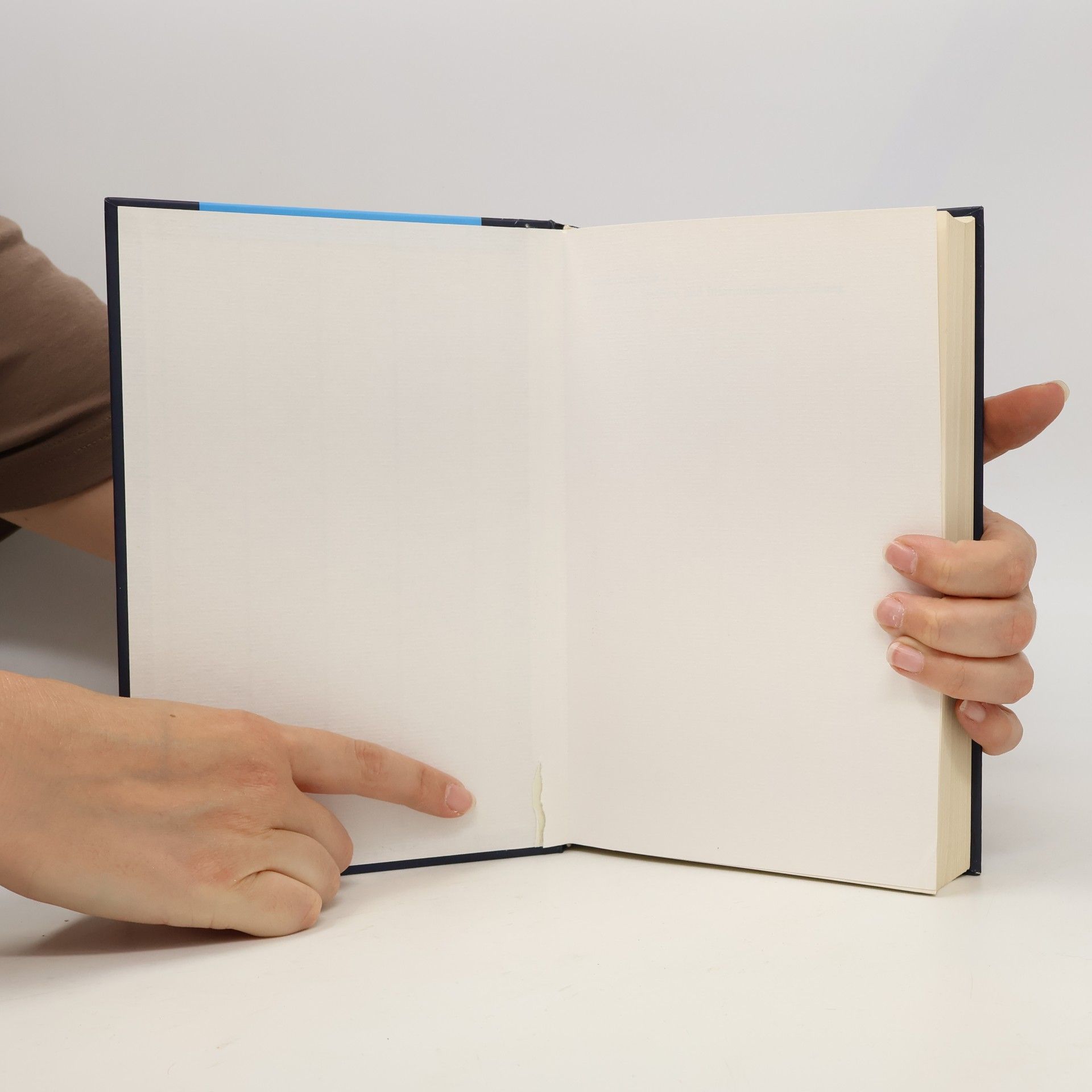 Rüdiger Kramme Medizintechnik, Verfahren, Systeme und Informationsverarbeitung